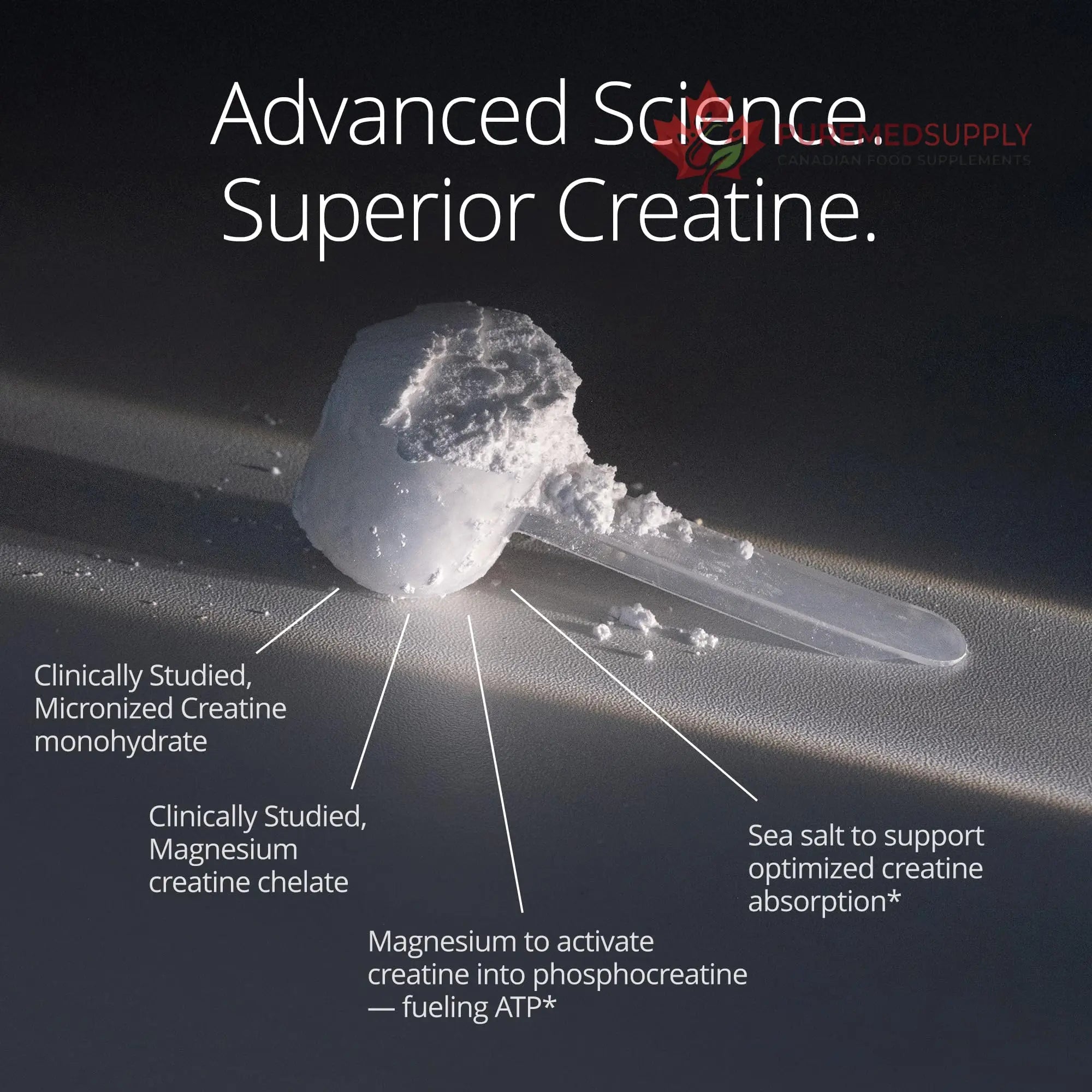 Qualia Creatine | Advanced Creatine Complex | 2 Sources + Magnesium | Optimized Absorption | Muscle Performance, Brain Function, & Healthy Aging (30 Servings) QUALIA LIFE SCIENCES buy supplements canada