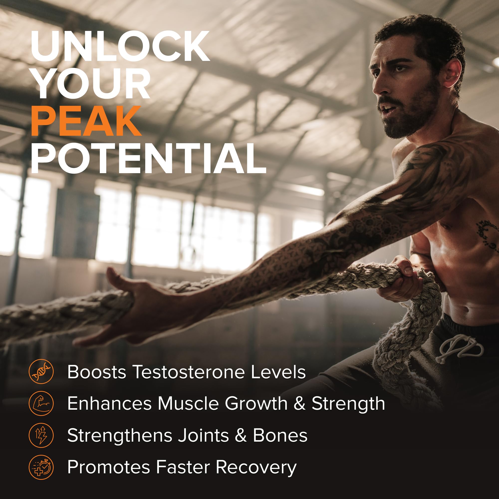 STRIVLABS Peak Potential 12-in-1  Support for Men – Fenugreek, Ashwagandha & Tongkat Ali – Natural Strength STRIVLABS buy supplements canada