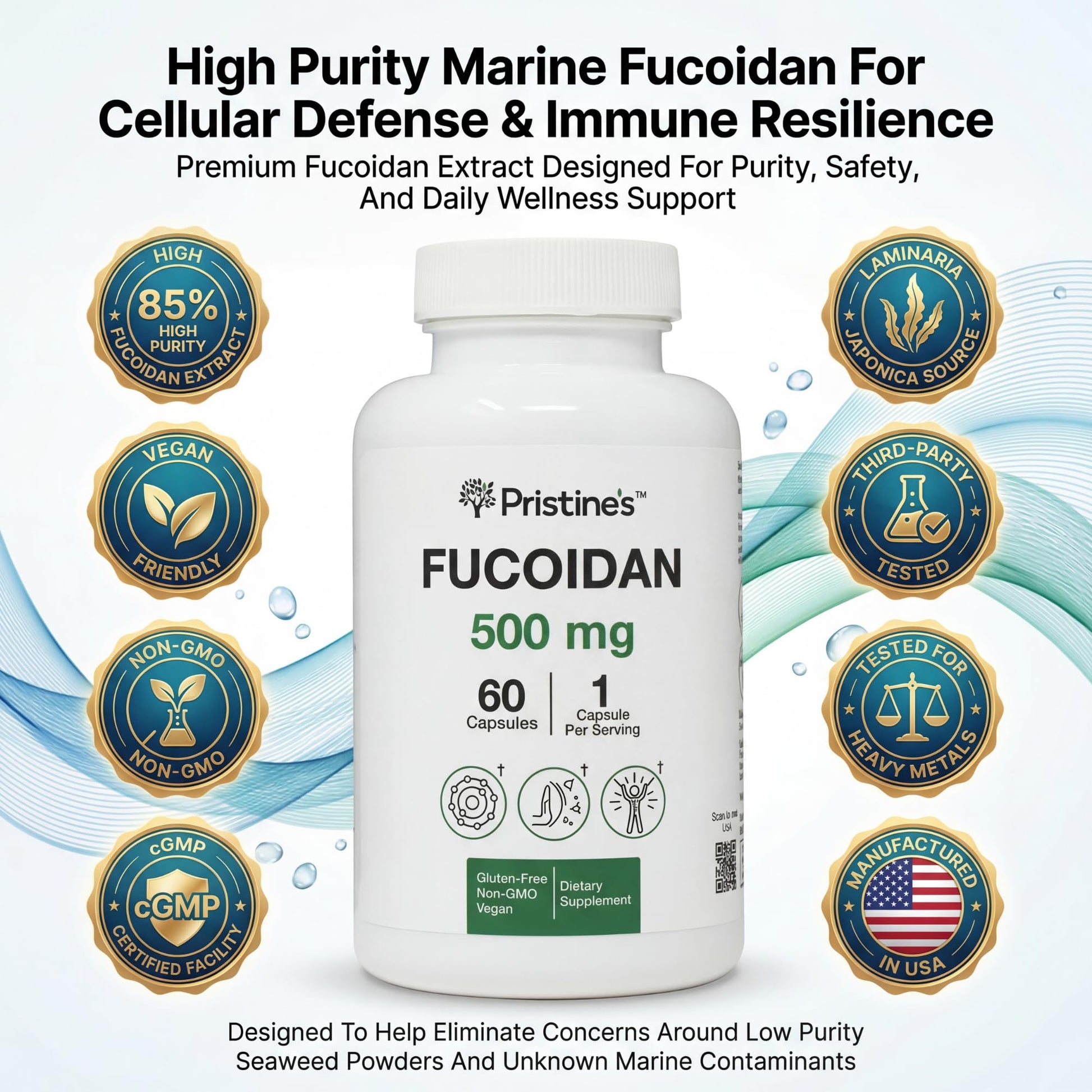 PRISTINE'S Fucoidan 500MG Immunity Supplement Capsules - 60 Day Supply - Brown Seaweed Extract - Potent Herbal Antioxidant Lung Health & Skin Health Support PRISTINE'S buy supplements canada
