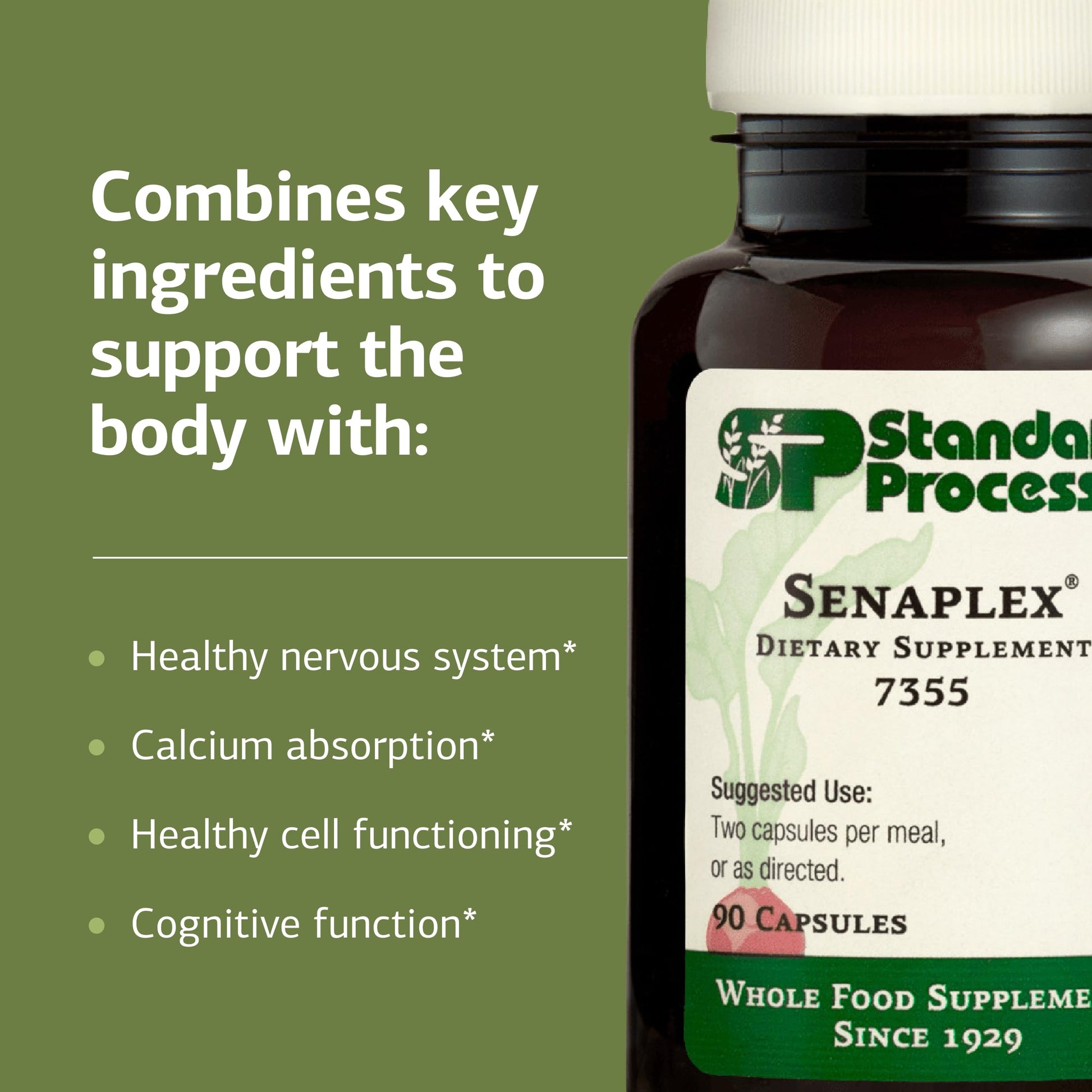 Standard Process Senaplex - Nervous System Support with Niacin, Vitamin B12 & B6 - Supports Brain Health & Cellular Health - Offers Antioxidant Activity - Non-Dairy - 90 Capsules (45 Servings) Standard Process Inc. buy supplements canada