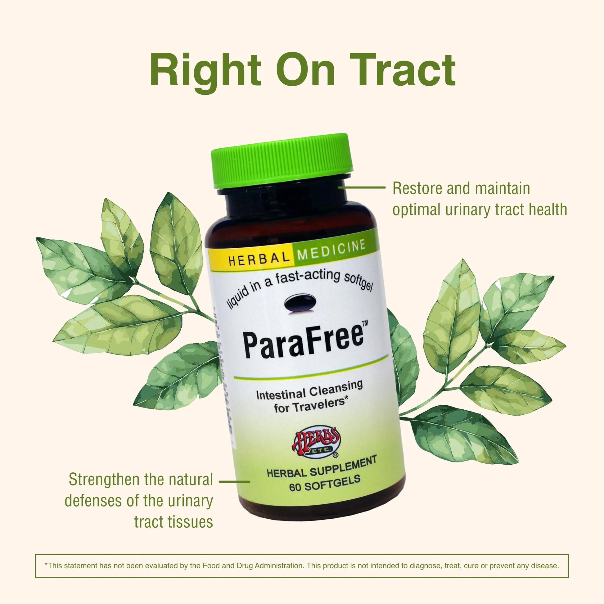 Herbs Etc. CranBladder ReLeaf Softgels - Bladder Health Support - Natural Supplement Formula to Aid Urinary Health & Comfort - Optimal Urinary Support with Cranberry - 60 Softgels (60 Servings) Herbs Etc. buy supplements canada