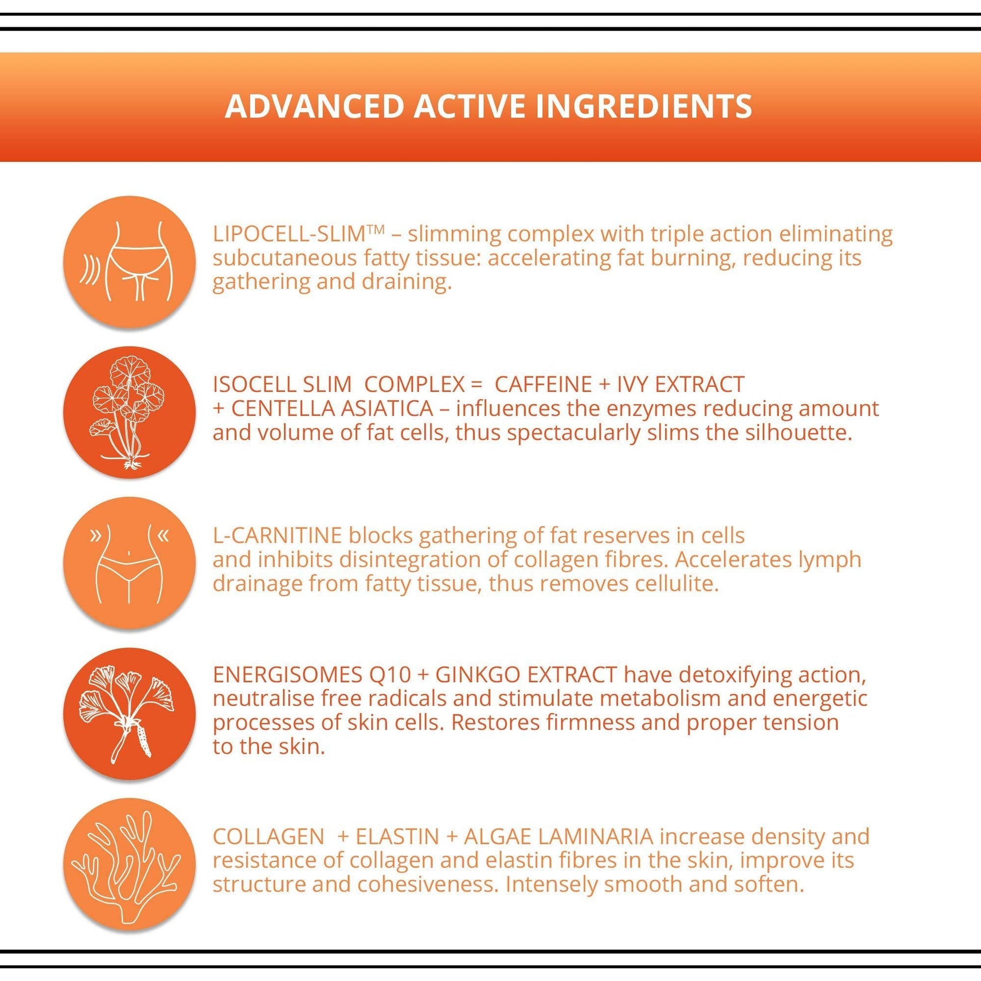 Eveline Slim Extreme 4D Liposuction Body Serum, 8.80 Fluid Ounce EVELINE COSMETICS buy supplements canada