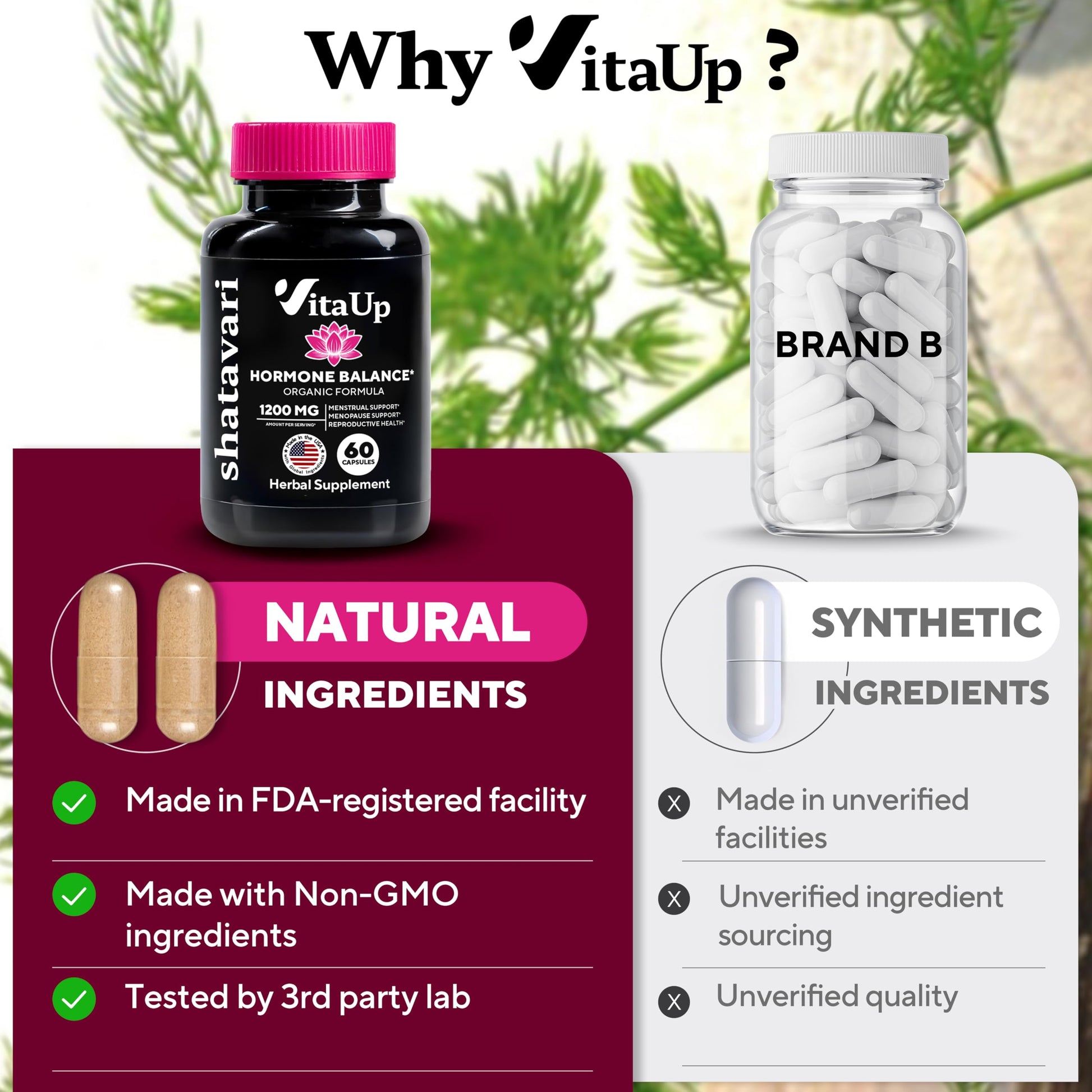 VitaUp Shatavari Capsules for Women 1200mg - USA Made Shatavari Root Supplement for Normal Hormonal Support, Menopause & Menstrual Wellness - 60 Vegan Capsules VitaUp buy supplements canada