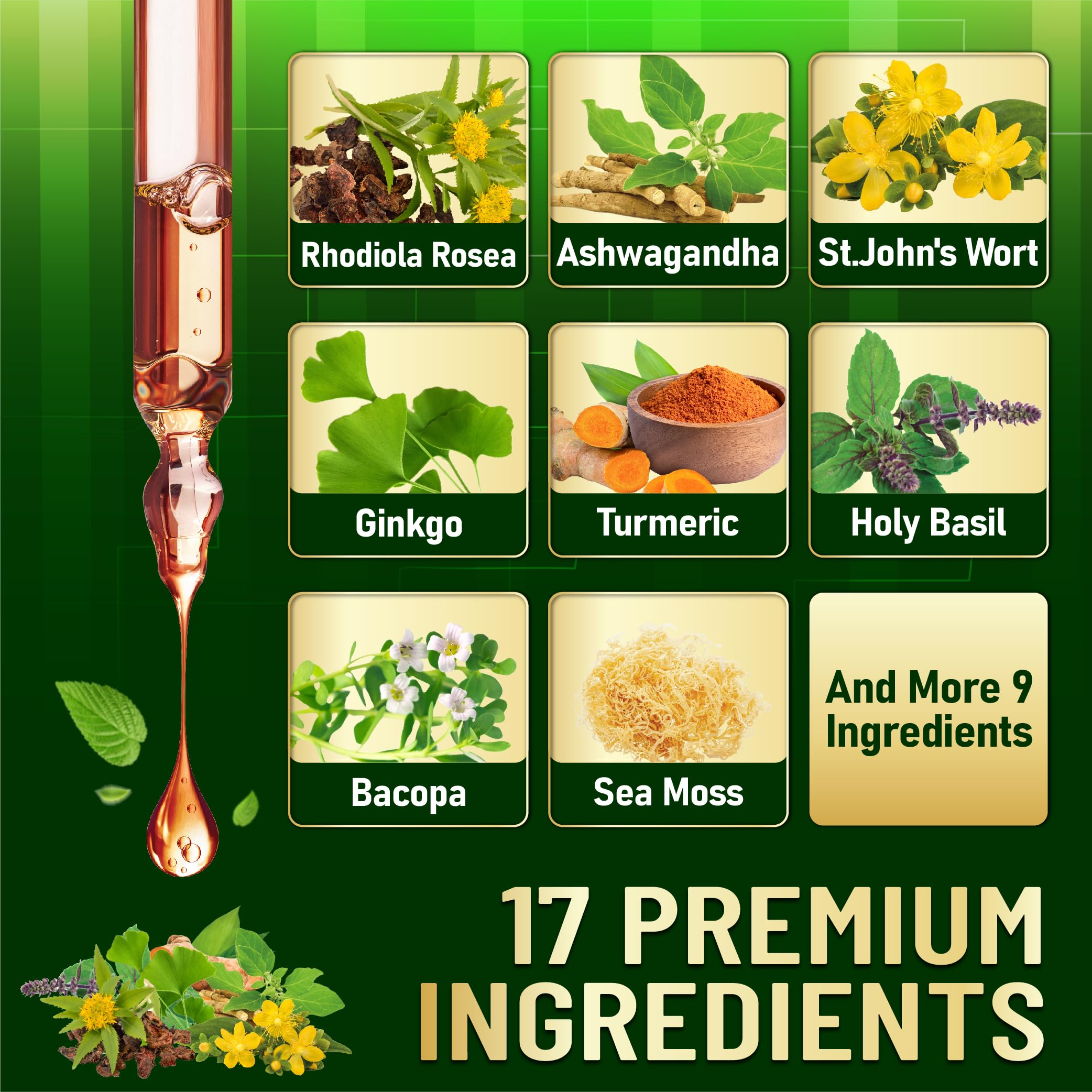 17in1 Rhodiola Rosea Liquid Supplement with Ashwagandha, Magnesium Glycine, L-Theanine, Vitamin C, Vitamin D3, Vitamin K2, Ginkgo, Turmeric, Holy Basil and More - 1 FL Oz - 60 Day Supply WELBUDA buy supplements canada