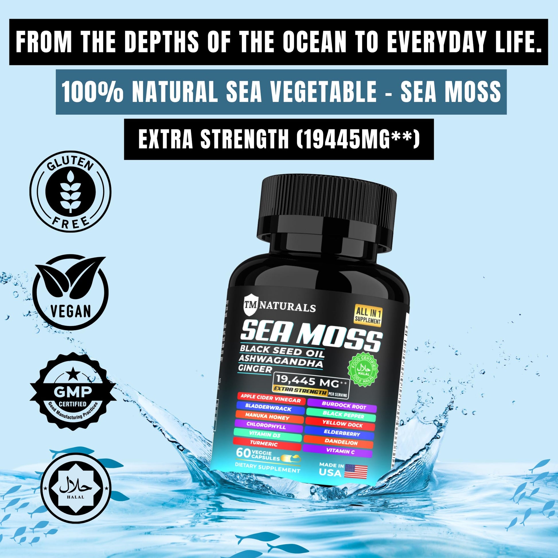 TM NATURALS Sea Moss with Black Seed Oil, Vitamin C, Ashwagandha and Turmeric for Immune Support & Energy - 60 Vegan Capsules + Free Pill Box TM NATURALS buy supplements canada