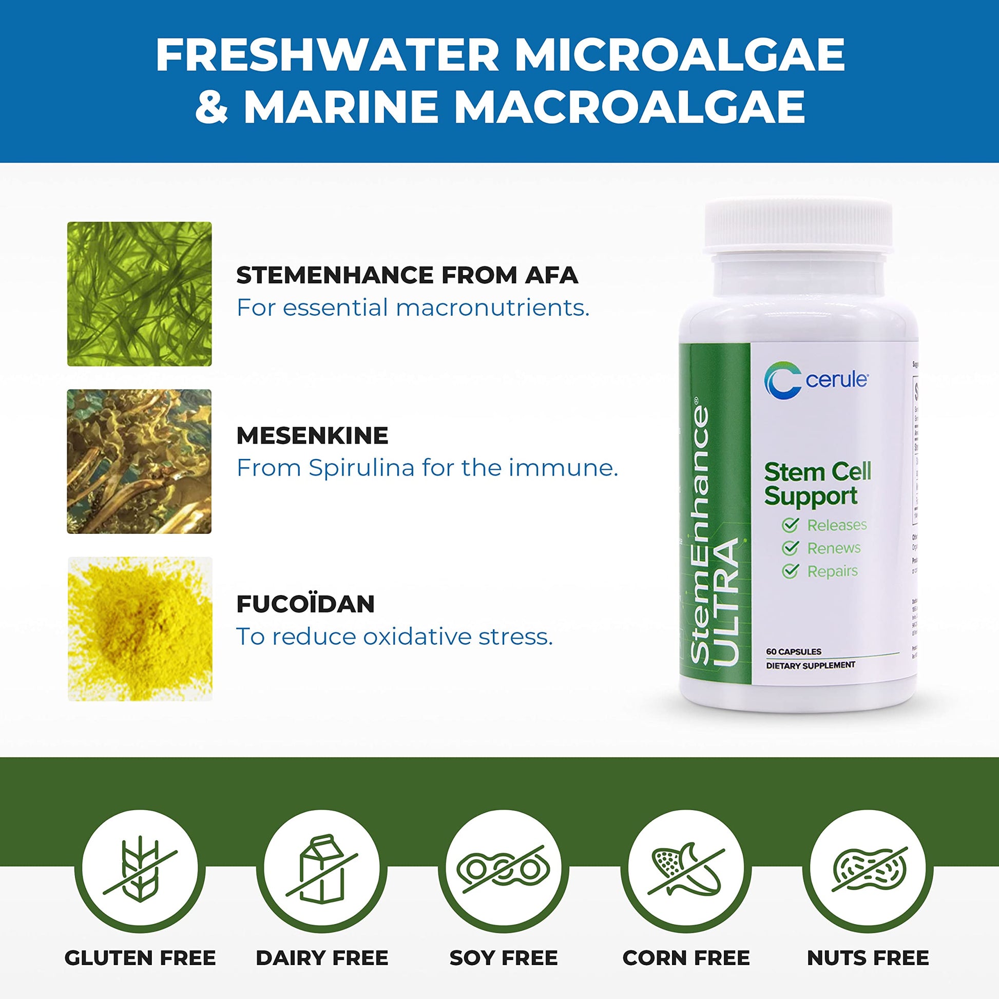 Cerule StemEnhance Ultra Natural Stem Cell Support Supplement – Freshwater Microalgae and Marine Macroalgae Extracts for Cellular Renewal, Immune Function, Energy, and Tissue Recovery – 60 Capsules Cerule buy supplements canada