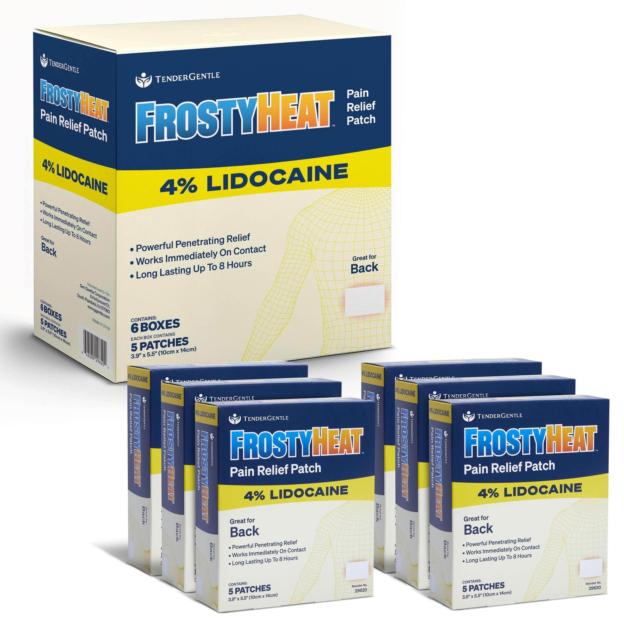 TenderGentle Four Percent Lidocaine Patches - 30 Back Pain Relief Patches with 4% Lidocaine for Aches, Muscle and Joint Discomfort - 3.9" x 5.5" Back, Shoulder, and Neck Pain Patch TenderGentle buy supplements canada