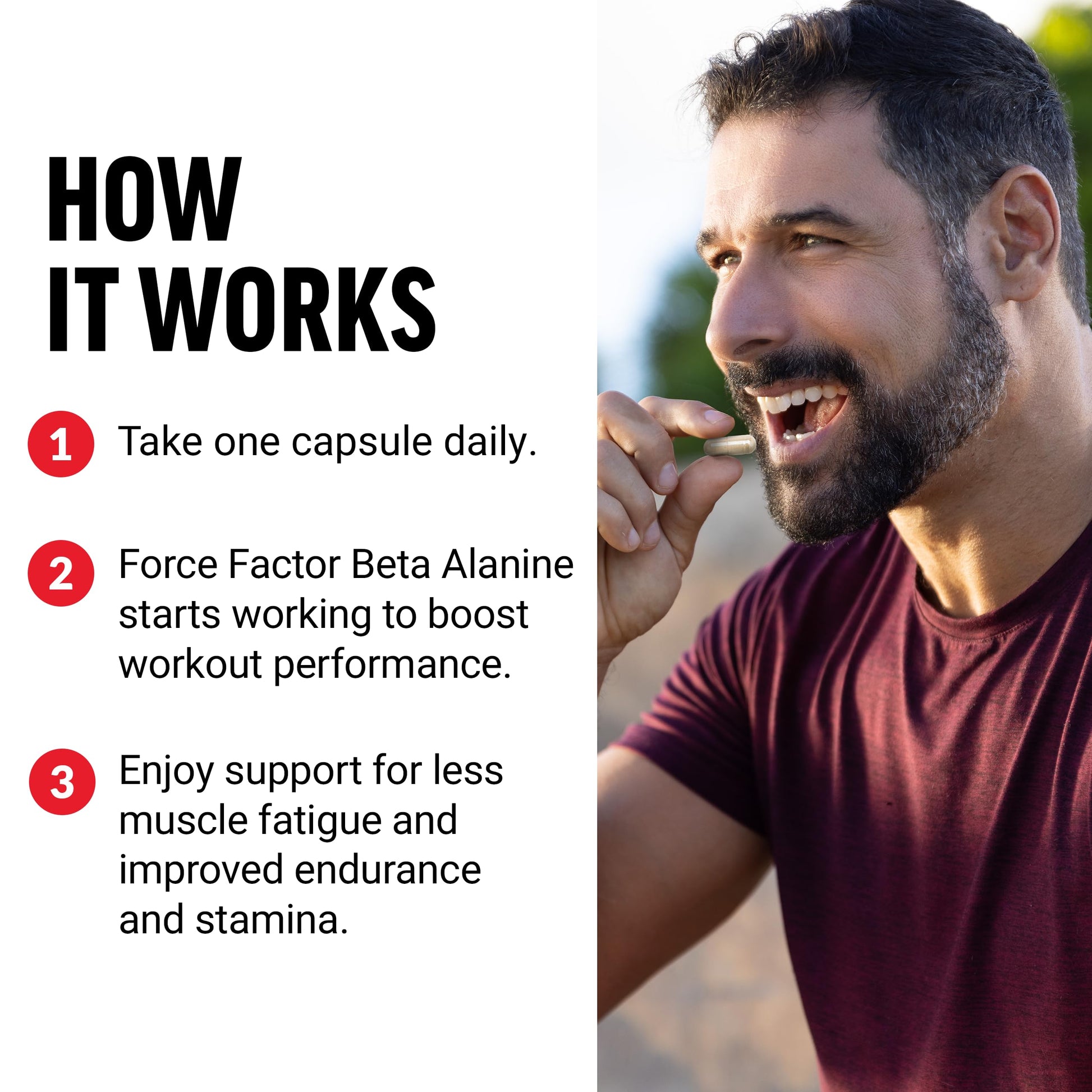 FORCE FACTOR Beta Alanine Capsules, Beta-Alanine Endurance Supplement to Boost Force Factor buy supplements canada