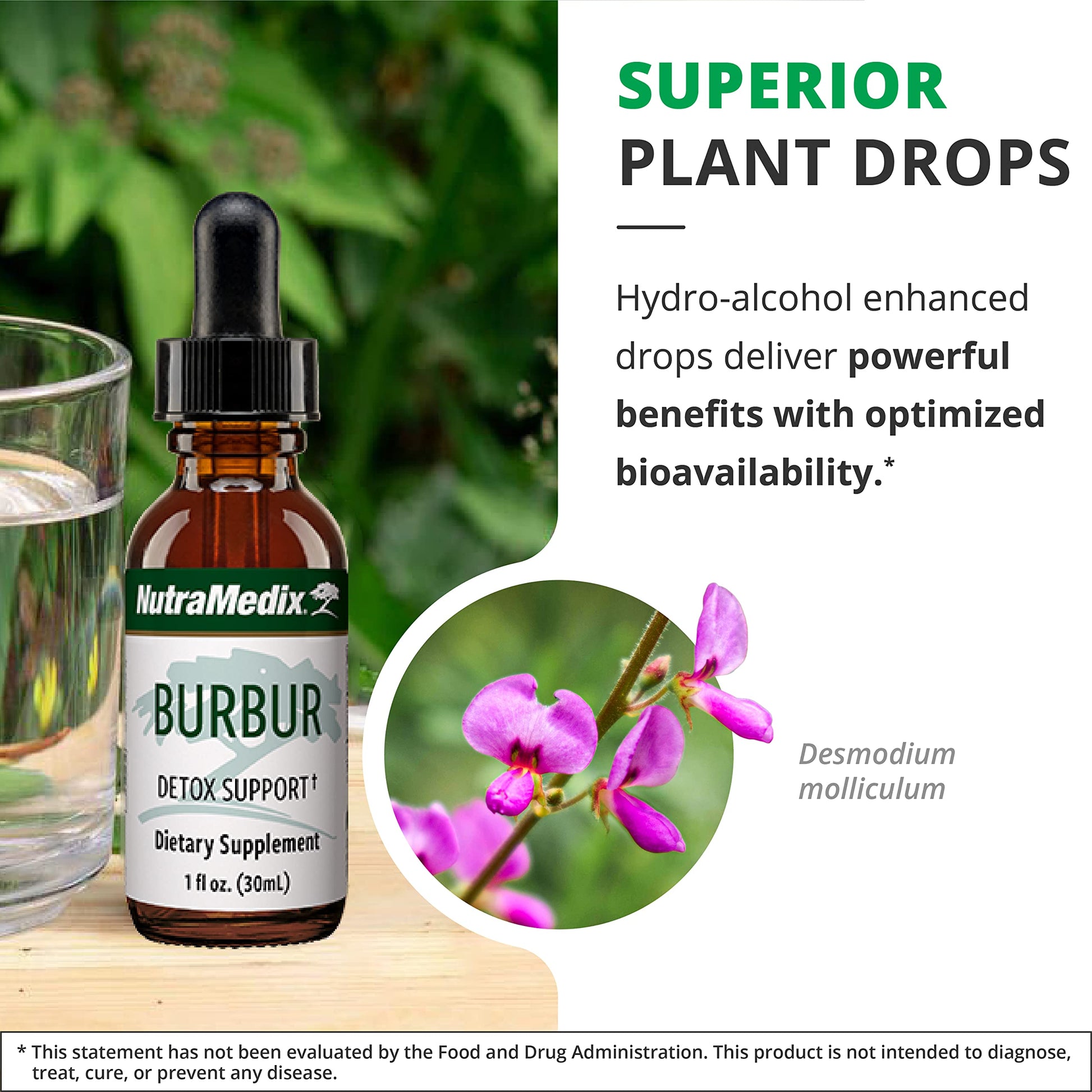 NutraMedix Burbur Detox Support Supplement - Desmodium Molliculum Extract Drops NutraMedix buy supplements canada