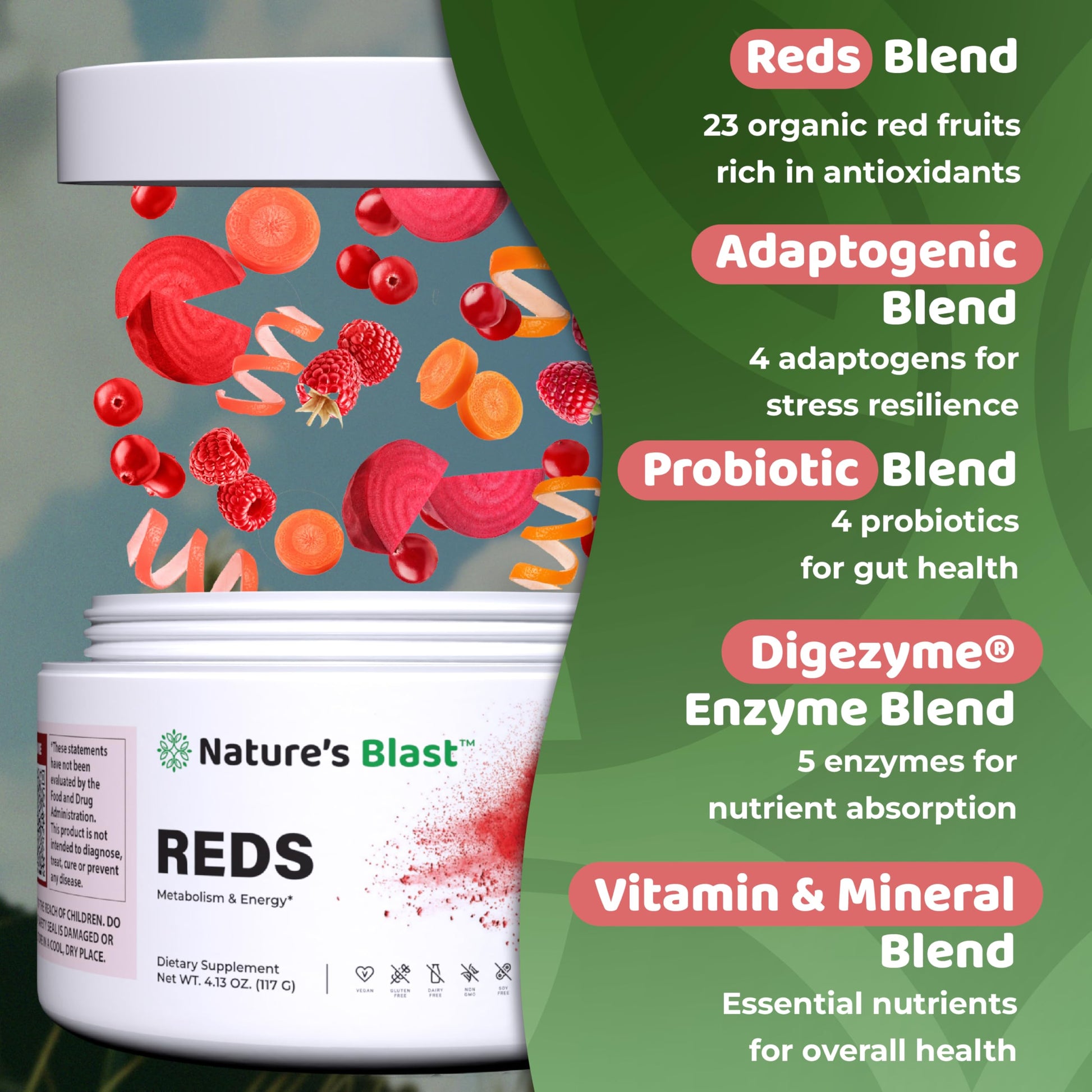 NATURES BLAST Reds - Metabolism and Energy Superfood Powder with 23 Red Fruits, 4 Adaptogens, Probiotics & Enzymes - Vegan Antioxidant Blend, 1 Bottle NATURES BLAST buy supplements canada