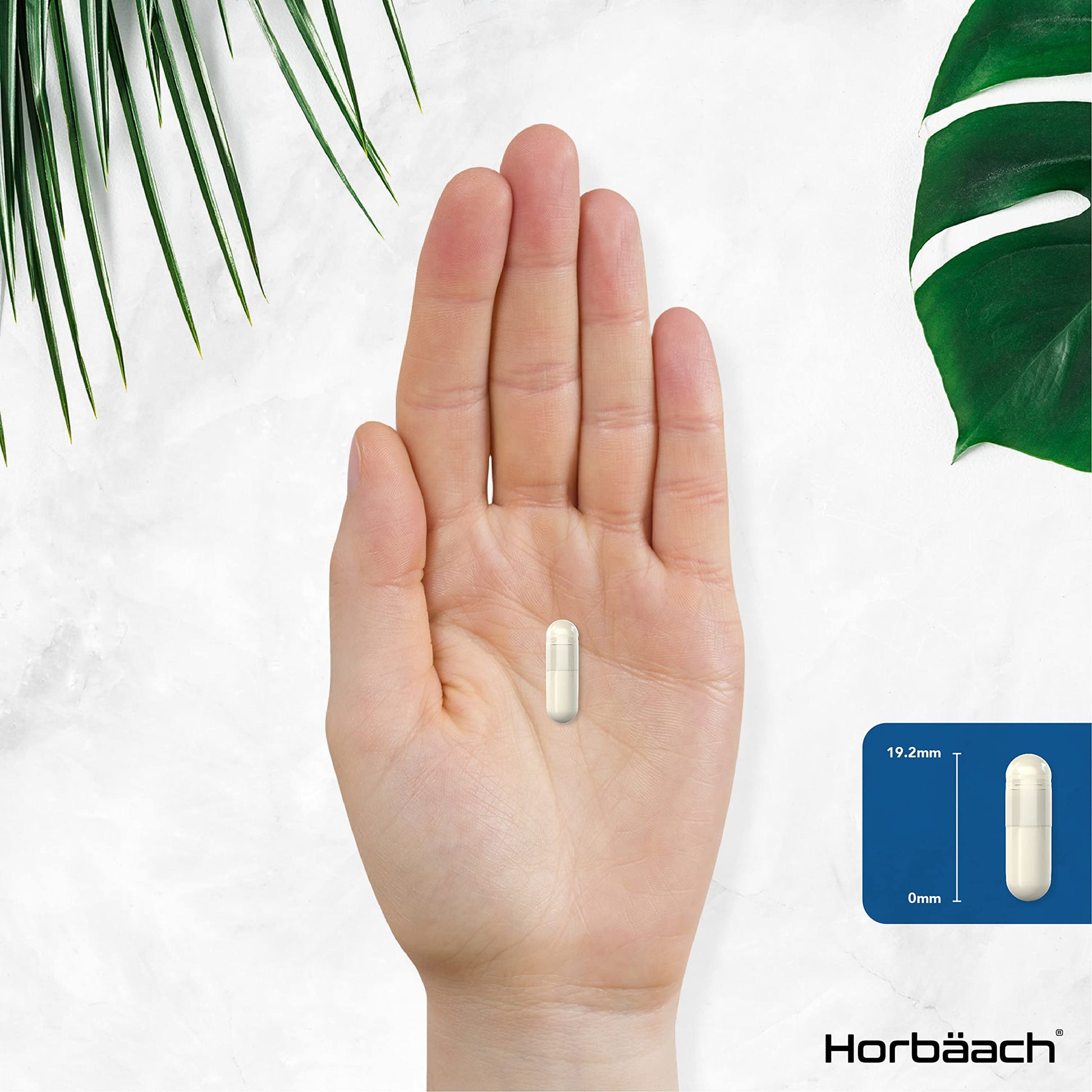 L-Methylfolate 1000ug | 200 Capsules | 5-MTHF Folate Supplement | Active Form Horbäach buy supplements canada