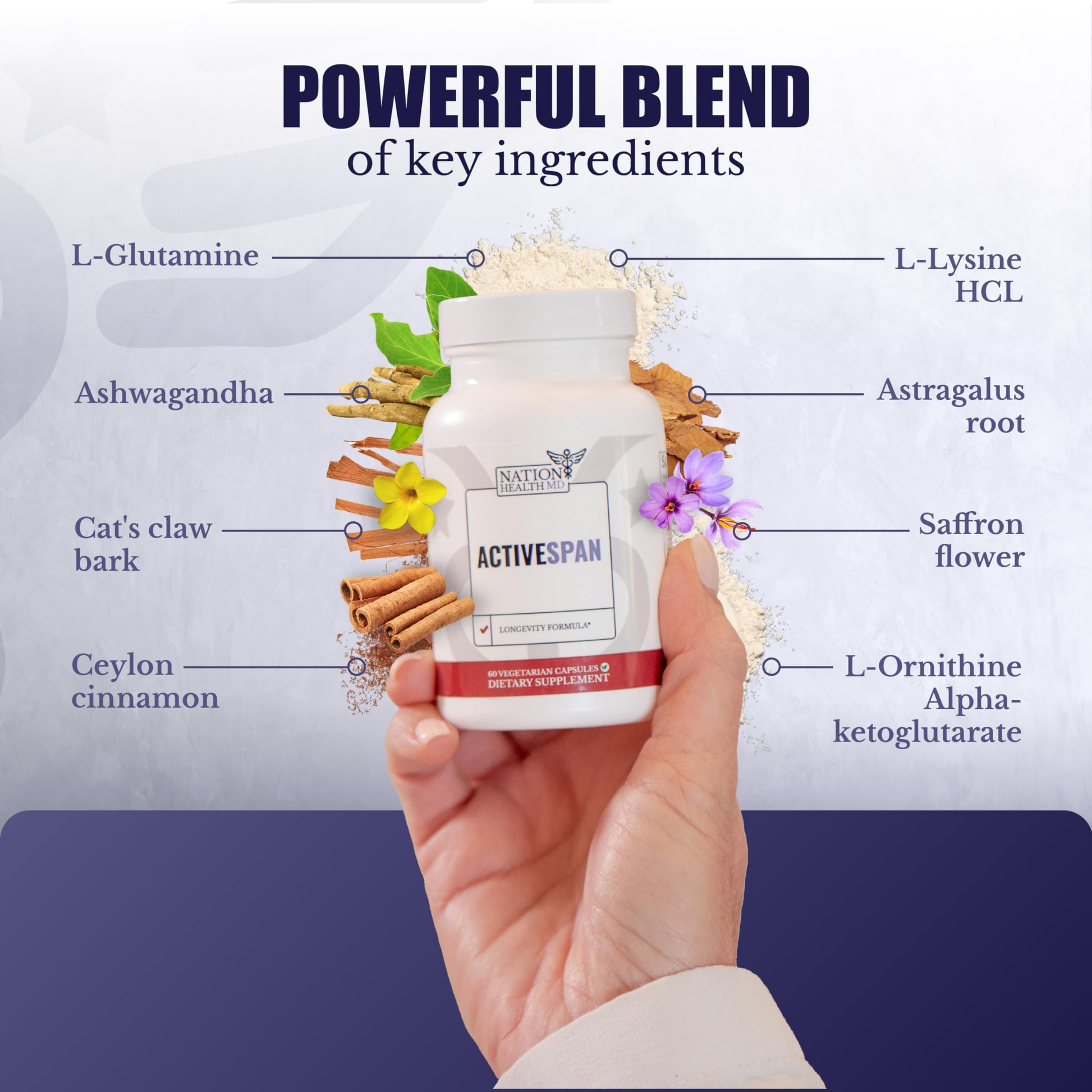NATION HEALTH MD ActiveSpan - Longevity Supplement for Anti Aging - with Ashwagandha Extract, Astragalus, Cat's Claw, Ceylon Cinnamon, L-Lysine, L-Glutamine & More - 60 Capsules NATION HEALTH MD buy supplements canada