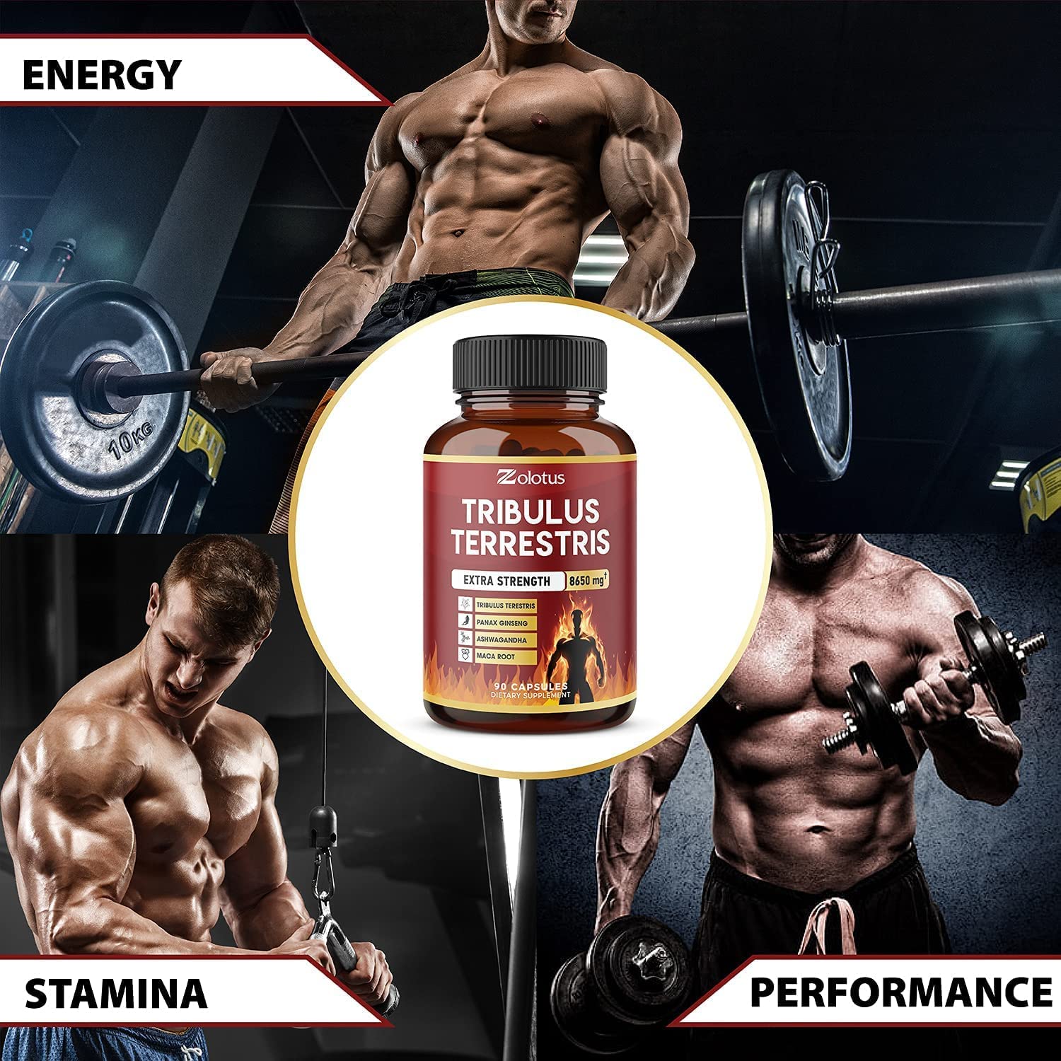Zolotus Tribulus Terrestris, 8650mg Per Capsule, High Potency with Ashwagndha Zolotus buy supplements canada