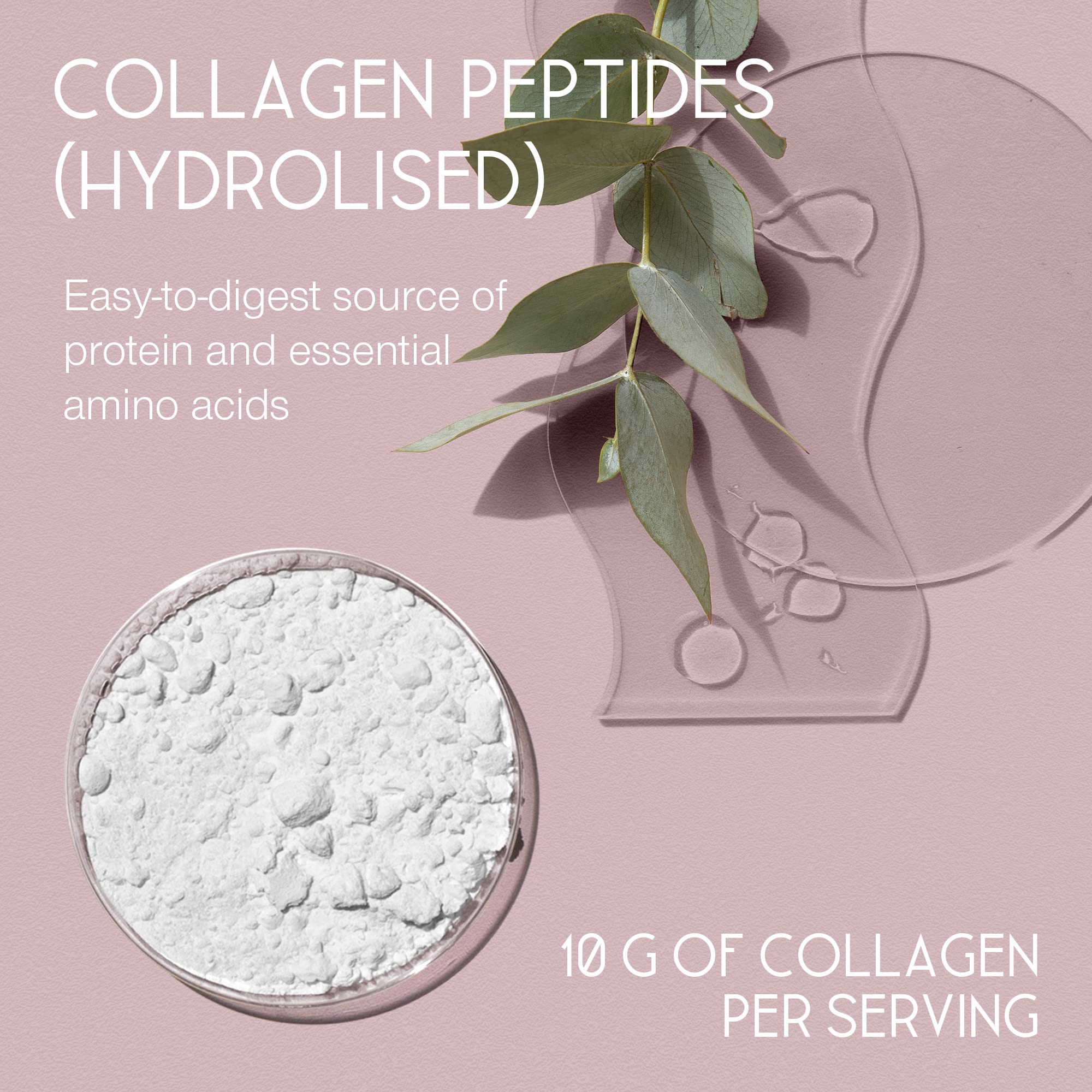 Premium Collagen Powder - Collagen Supplements for Women & Men - Pure Bovine Collagen Peptides 400g SuperSelf buy supplements canada