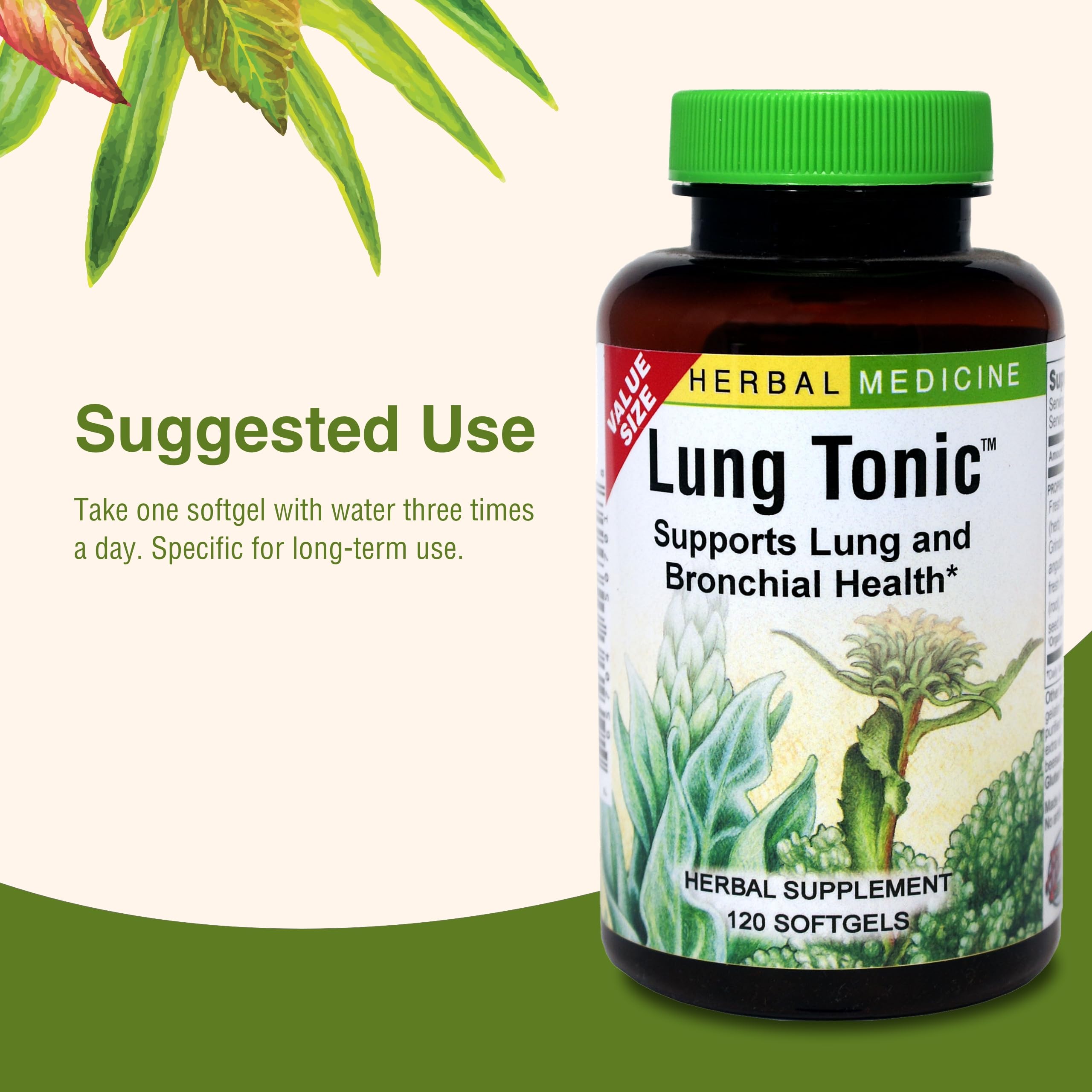 Herbs Etc. Lung Tonic - Lung Supplement for Bronchial Support - Healthy Breathing Support with Mullein, Horehound & Grindelia - 120 Softgels Herbs Etc. buy supplements canada