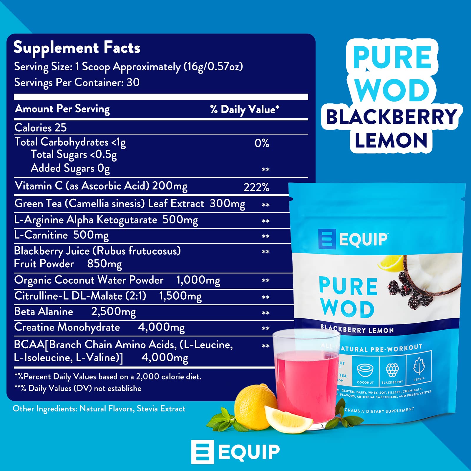 Equip Foods PureWOD All Natural Pre-Workout Powder - 200mg Green Tea Caffeine, BCAA Equip buy supplements canada
