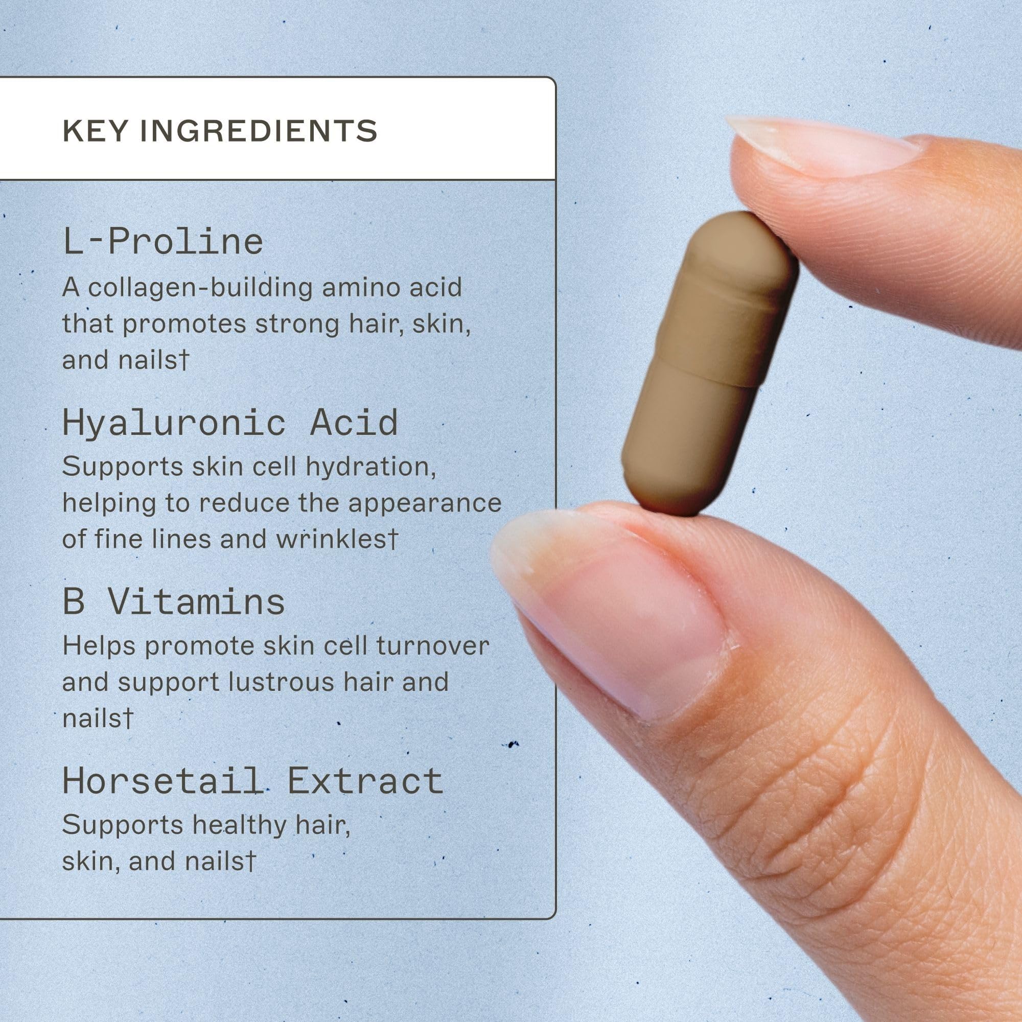 Amy Myers MD Hair Skin and Nails - Supports Strong Hair, Radiant Skin & Healthy Nails - L-Proline, Horsetail, Hyaluronic Acid - Gluten-Free - 120 Capsules (30 Servings) Amy Myers MD buy supplements canada