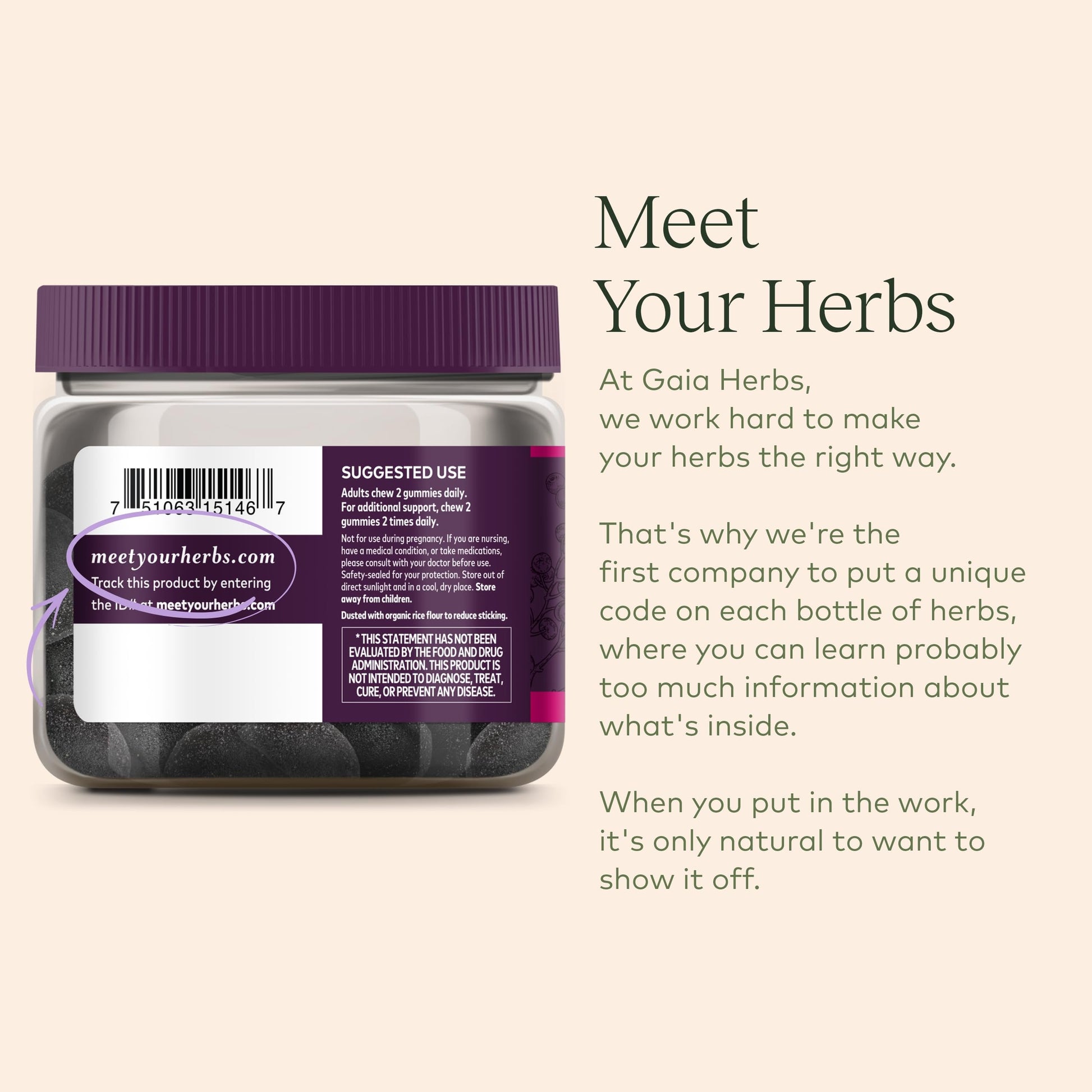 Gaia Herbs Black Elderberry (Sambucus Nigra) Extra Strength Gummies Gaia Herbs buy supplements canada