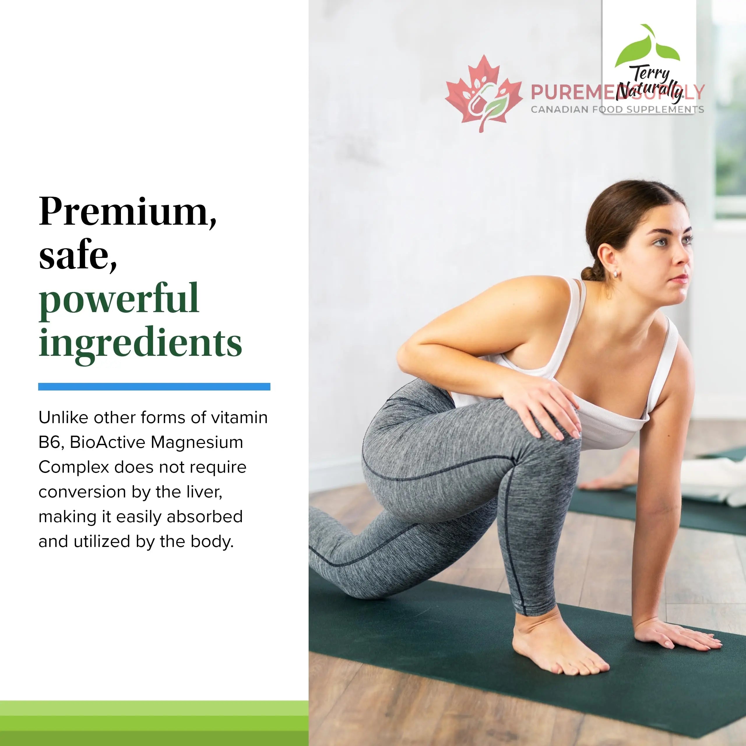 Terry Naturally BioActive Magnesium Complex - Bone & Heart Health Support - Supplement with Vitamin B6, Zinc & Magnesium - Pyridoxal-5-Phosphate Vegan Capsule Supplement - 120 Capsules Terry Naturally buy supplements canada