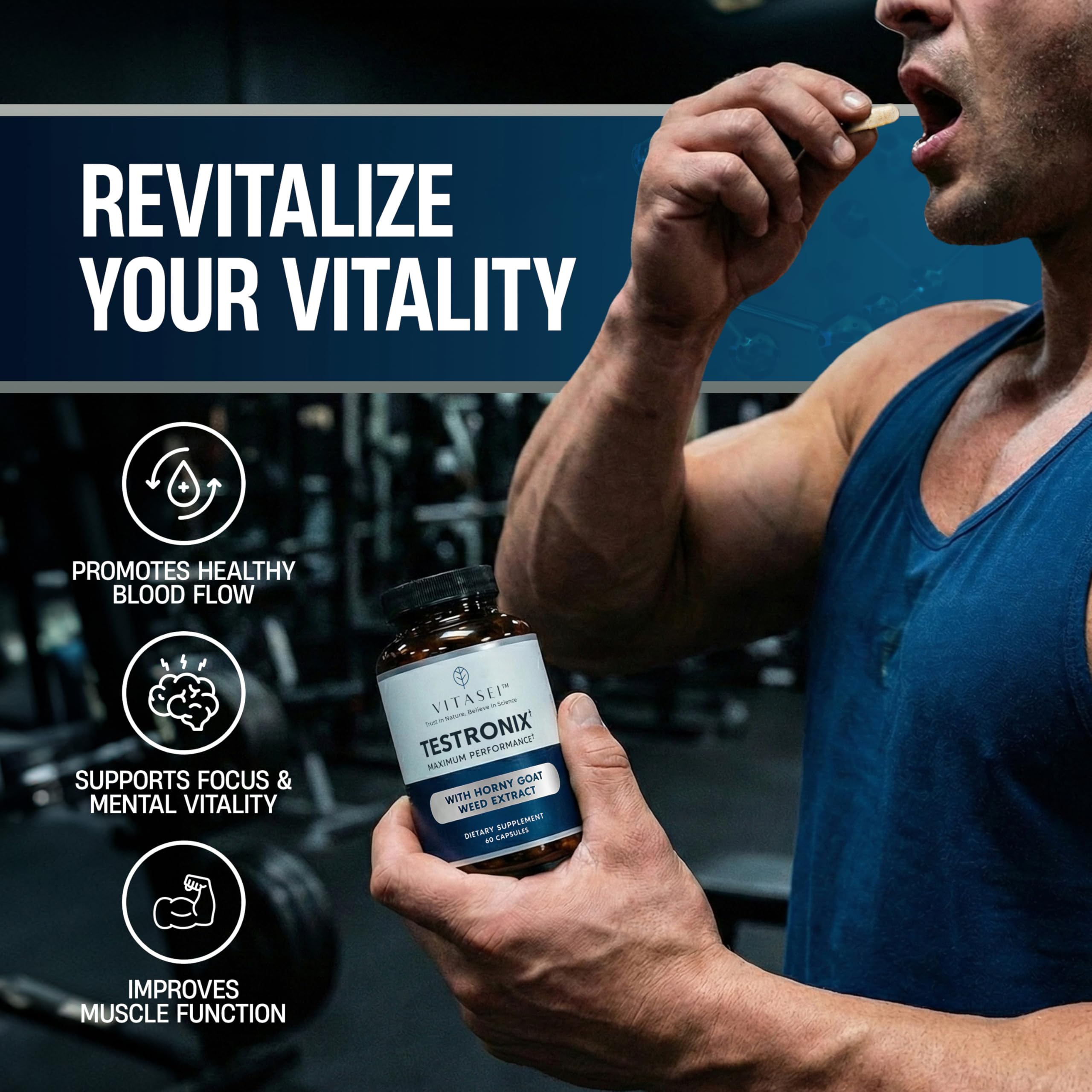 VITASEI Testronix Performance Supplement for Men - Energy and Muscle Supplements for Mens Health - 60 Capsules (Pack of 2) VITASEI buy supplements canada