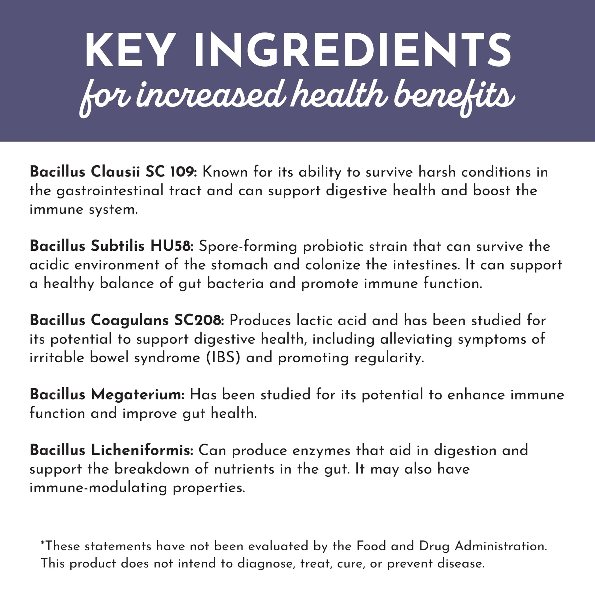 JUST INGREDIENTS Elderberry Lemonade 3-in-1 Probiotic Complex - Prebiotics, Probiotics & Postbiotics - 30 Sticks JUST INGREDIENTS buy supplements canada