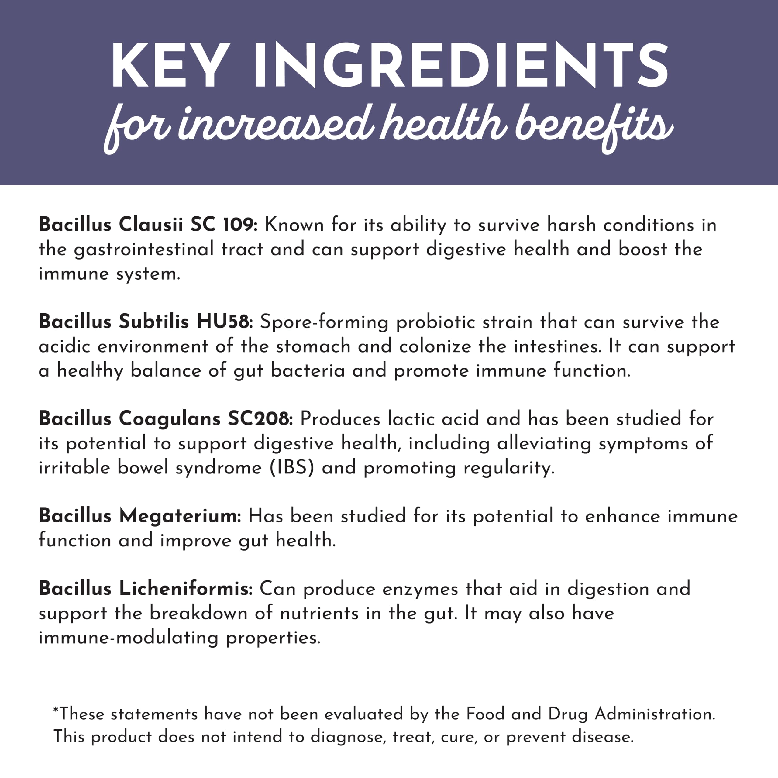 JUST INGREDIENTS Elderberry Lemonade 3-in-1 Probiotic Complex - Prebiotics, Probiotics & Postbiotics - 30 Sticks JUST INGREDIENTS buy supplements canada