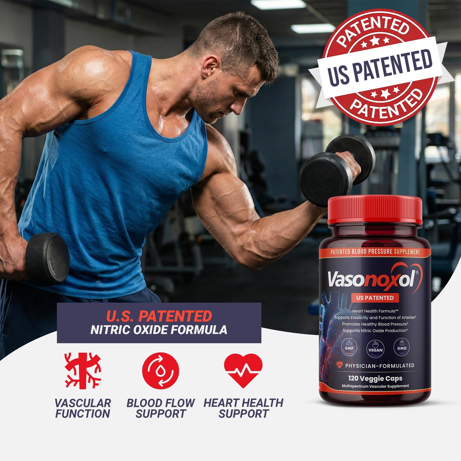 Vasonoxol U.S. Patented Nitric Oxide Supplement for Blood Pressure Support 2880mg - Physician Formulated Vascular Health Formula with L-Arginine & L-Citrulline - Vegan, Non-GMO (120 Capsules) Panoxol buy supplements canada