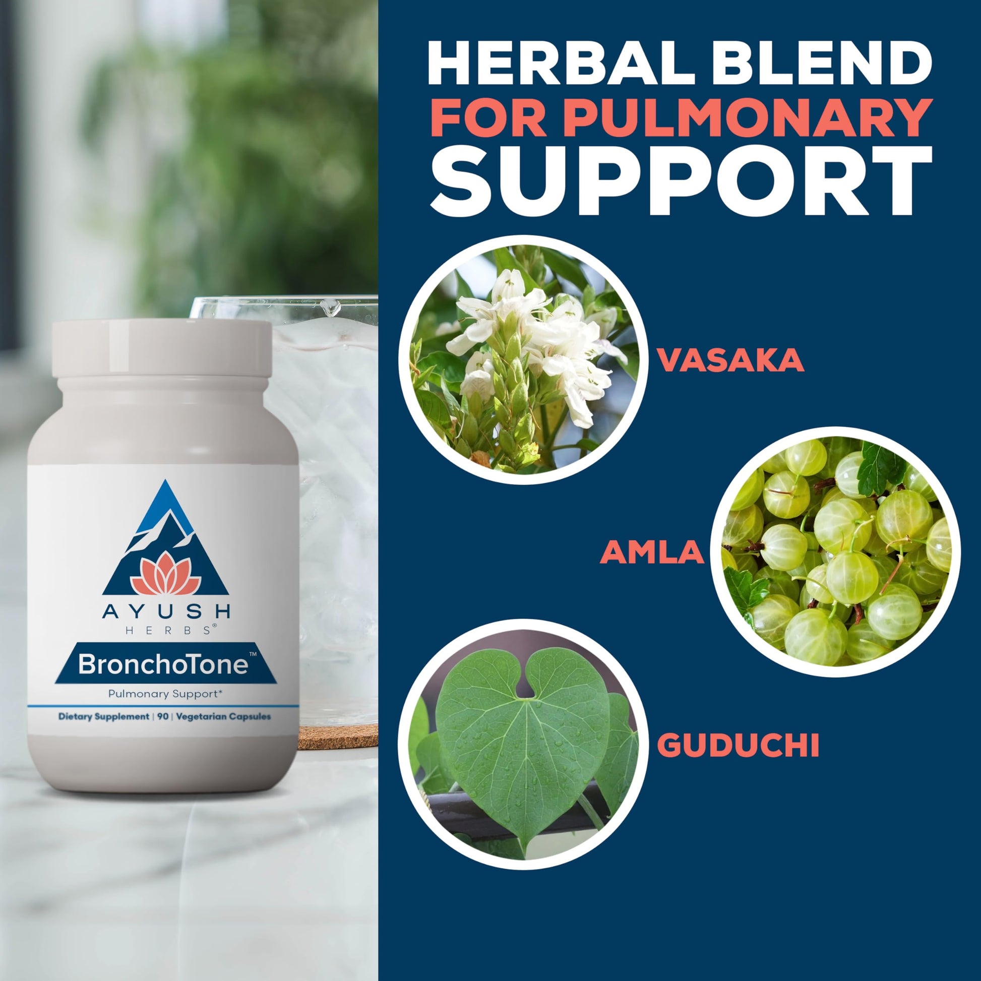 Ayush Herbs Bronchotone - Bronchial Support, Respiratory and Immune-Support Support Supplement for Women & Men, Adults, Pulmonary Care Supplement - 90 Vegetarian Capsules (1 Count) Ayush Herbs buy supplements canada