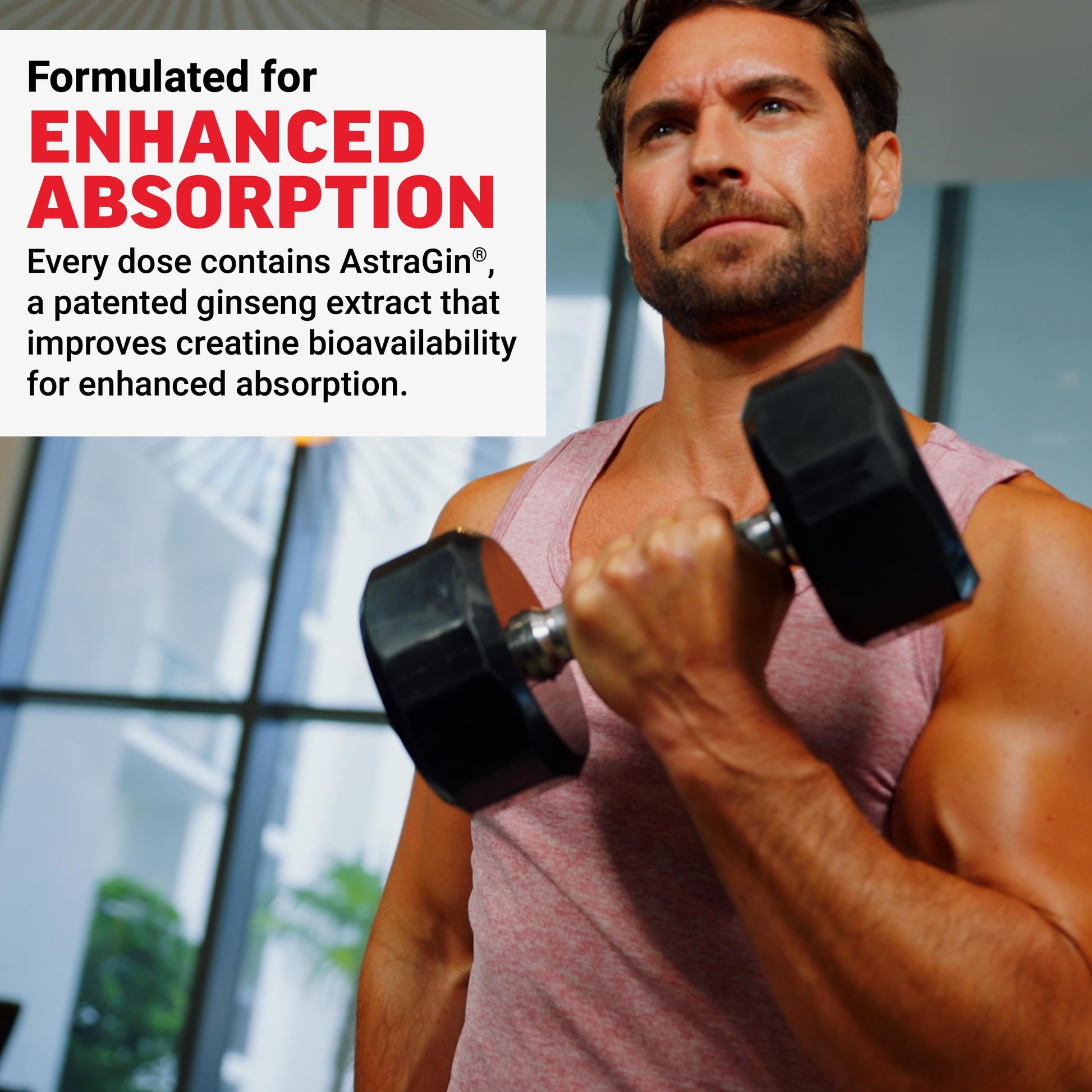 Force Factor Creatine Monohydrate Gummies, NSF Certified, 5g Dose for Men & Women to Support Muscle, Strength, Recovery, Cognitive Health & Memory, Mixed Berry, 150 Gummies Force Factor buy supplements canada