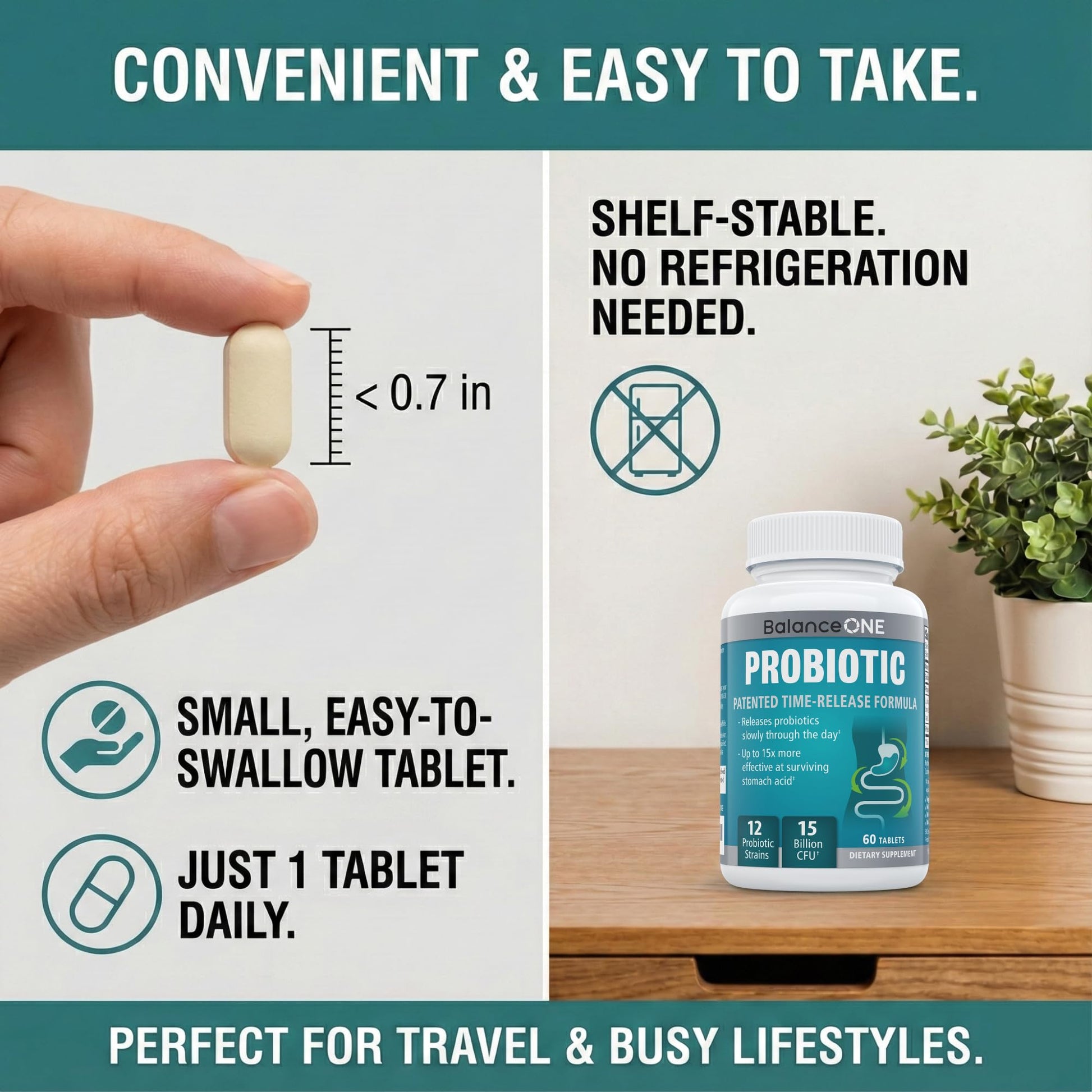 Balance ONE Time Release Probiotic – 15 Billion CFU – 12 Strains Including L. Plantarum – 15x More Survival Than Capsules – Bloating & Gas Relief – Gut & Digestive Health for Women & Men – 60 Tablets Balance ONE buy supplements canada