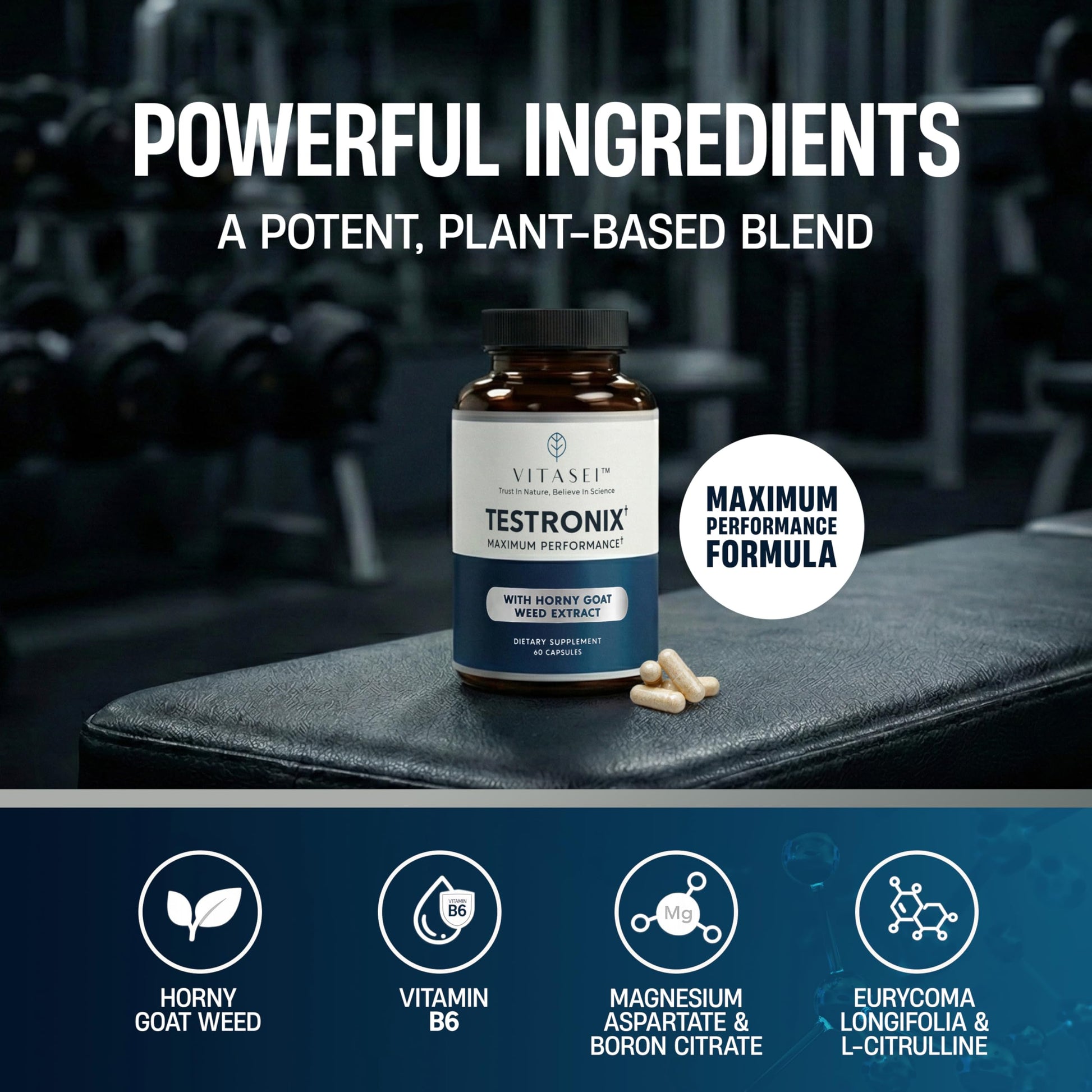 VITASEI Testronix Performance Supplement for Men - Energy and Muscle Supplements for Mens Health - 60 Capsules (Pack of 2) VITASEI buy supplements canada