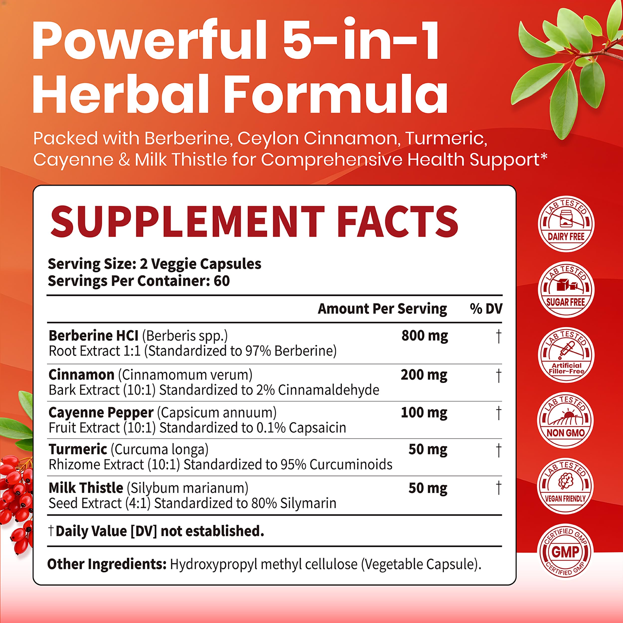 VEV Berberine Supplement with Ceylon Cinnamon, Cayenne Pepper, Turmeric, Milk Thistle, Vegan & Non-GMO – 120 Capsules VEV buy supplements canada