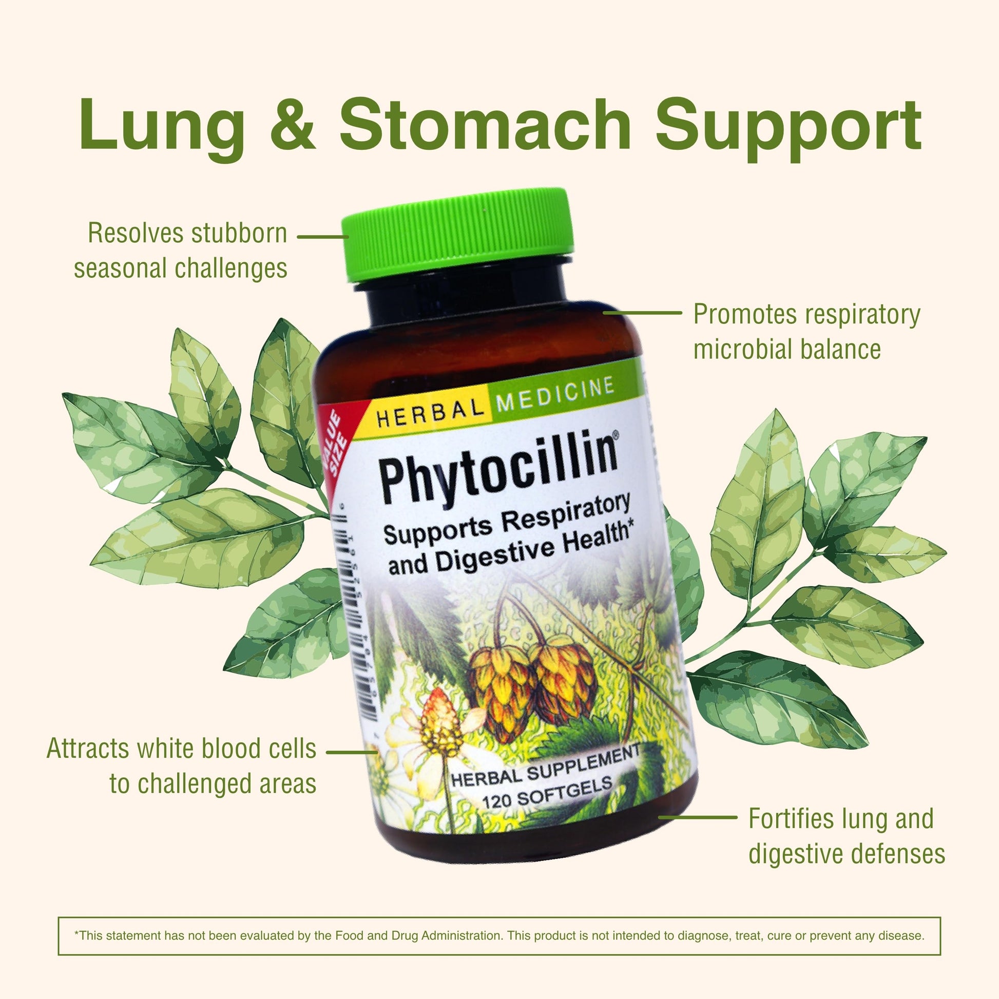 Herbs Etc. Phytocillin - Respiratory & Digestive Health Support Supplement - Herbal Formula to Support Digestion - Support Healthy Breathing - 120 Softgels (120 Servings) Herbs Etc. buy supplements canada