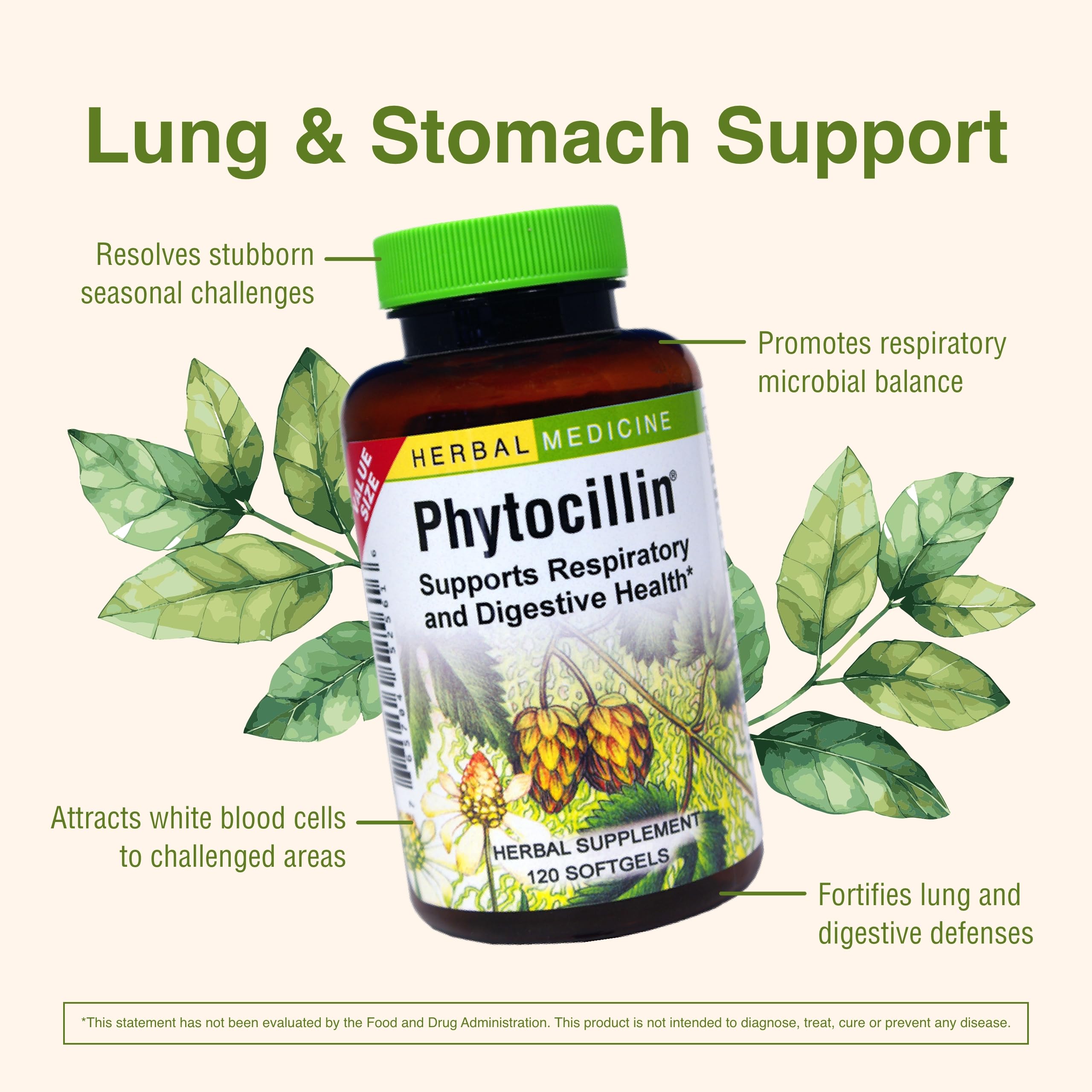 Herbs Etc. Phytocillin - Respiratory & Digestive Health Support Supplement - Herbal Formula to Support Digestion - Support Healthy Breathing - 120 Softgels (120 Servings) Herbs Etc. buy supplements canada