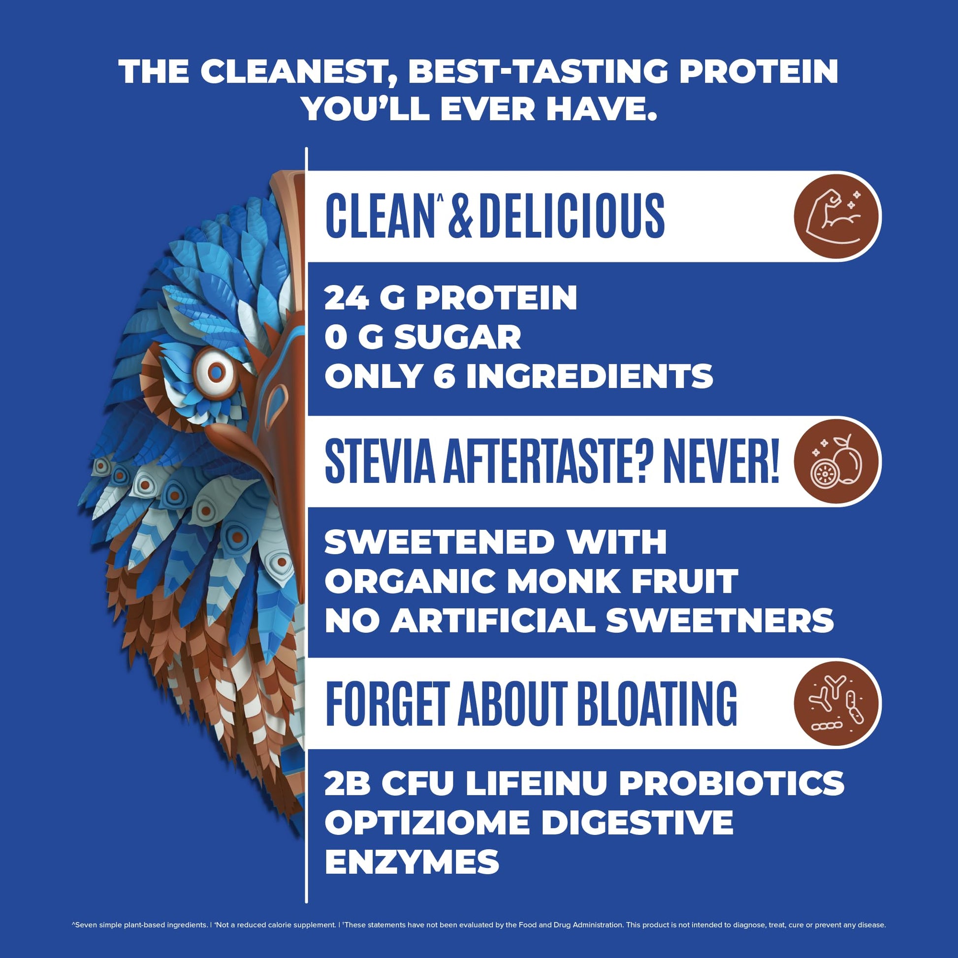 BIRDMAN Falcon Vegan Protein Powder Organic, Stevia & Sugar Free, Plant Based Protein BIRDMAN buy supplements canada