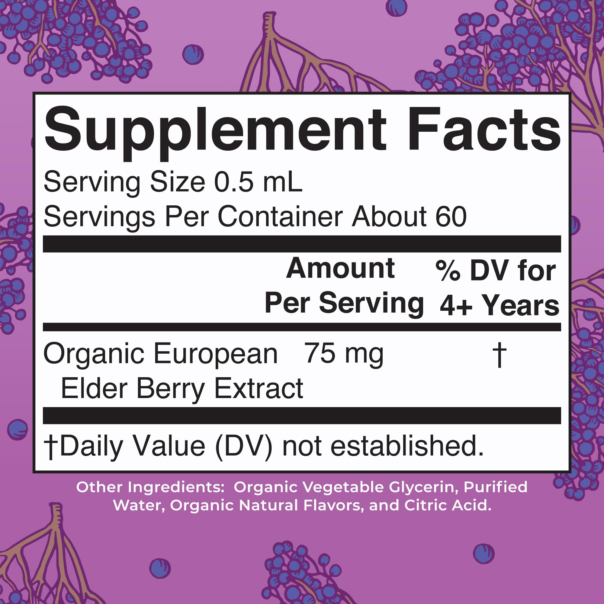 MaryRuth Organics USDA Organic Elderberry Liquid Drops for Kids | Vegan Elderberry Extract Organic Glycerin | Immune Support Supplement | Overall Health | Formulated for Ages 4-13 | 1oz MARYRUTH'S buy supplements canada