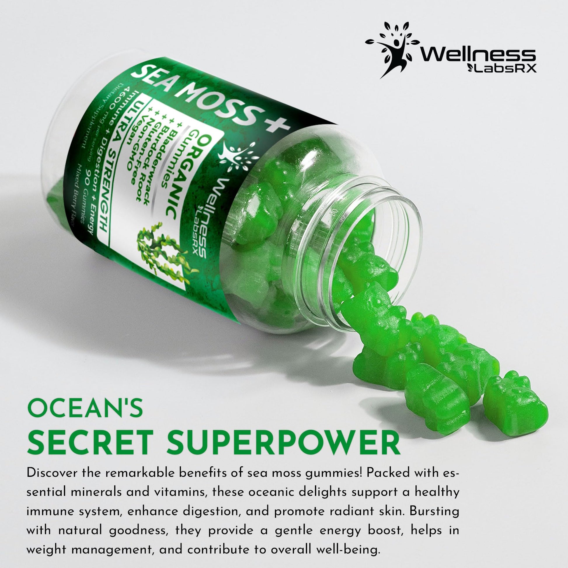 WELLNESS LABSRX Sea Moss Gummies, 3200mg Organic Seamoss, Irish Sea Moss WELLNESS LABSRX buy supplements canada