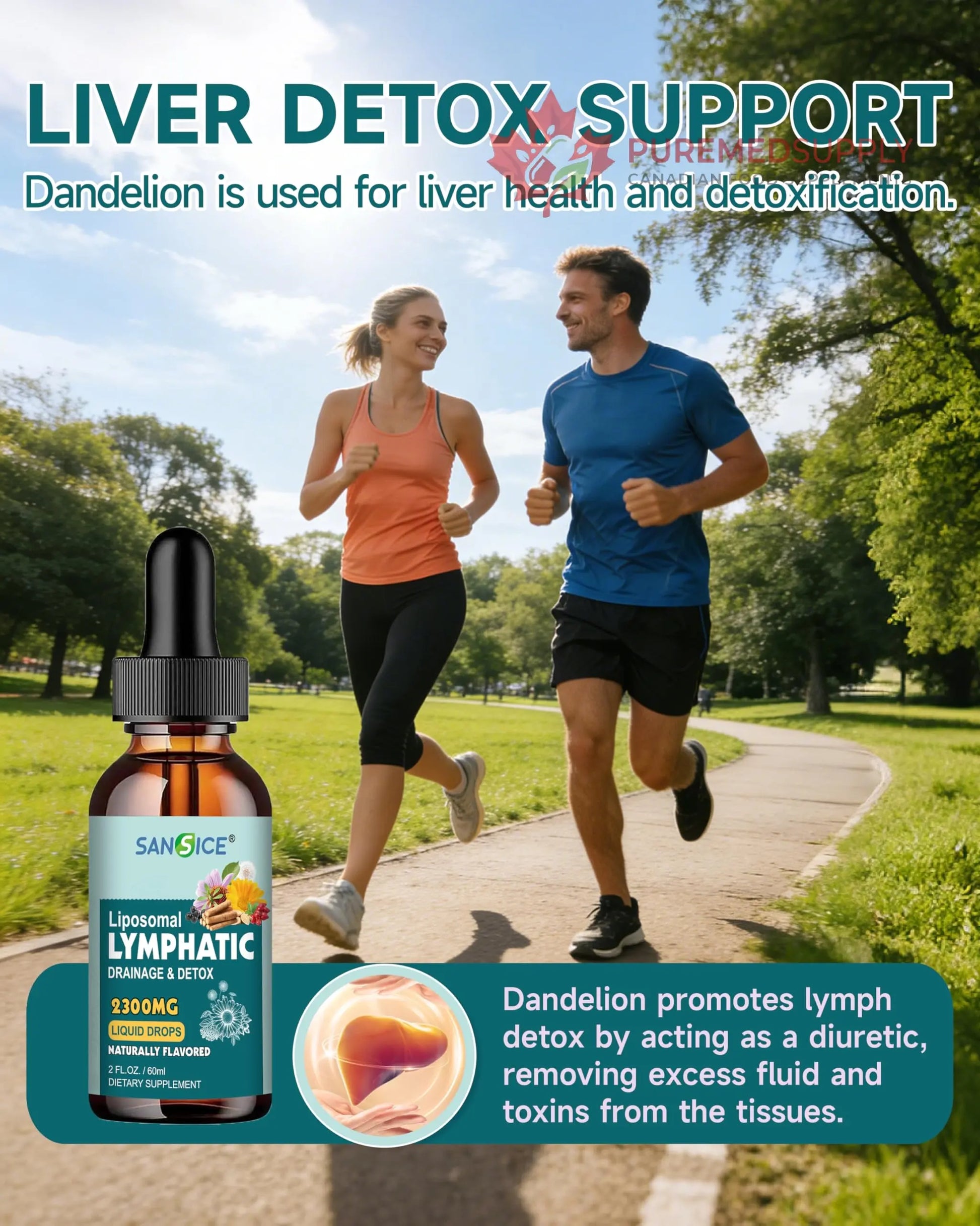 SANSICE Organic Moringa Supplement, Liquid Moringa Leaf Extract for Women & Men, Lymphatic Drainage Supplement with Echinacea for Lymph System Support SANSICE buy supplements canada