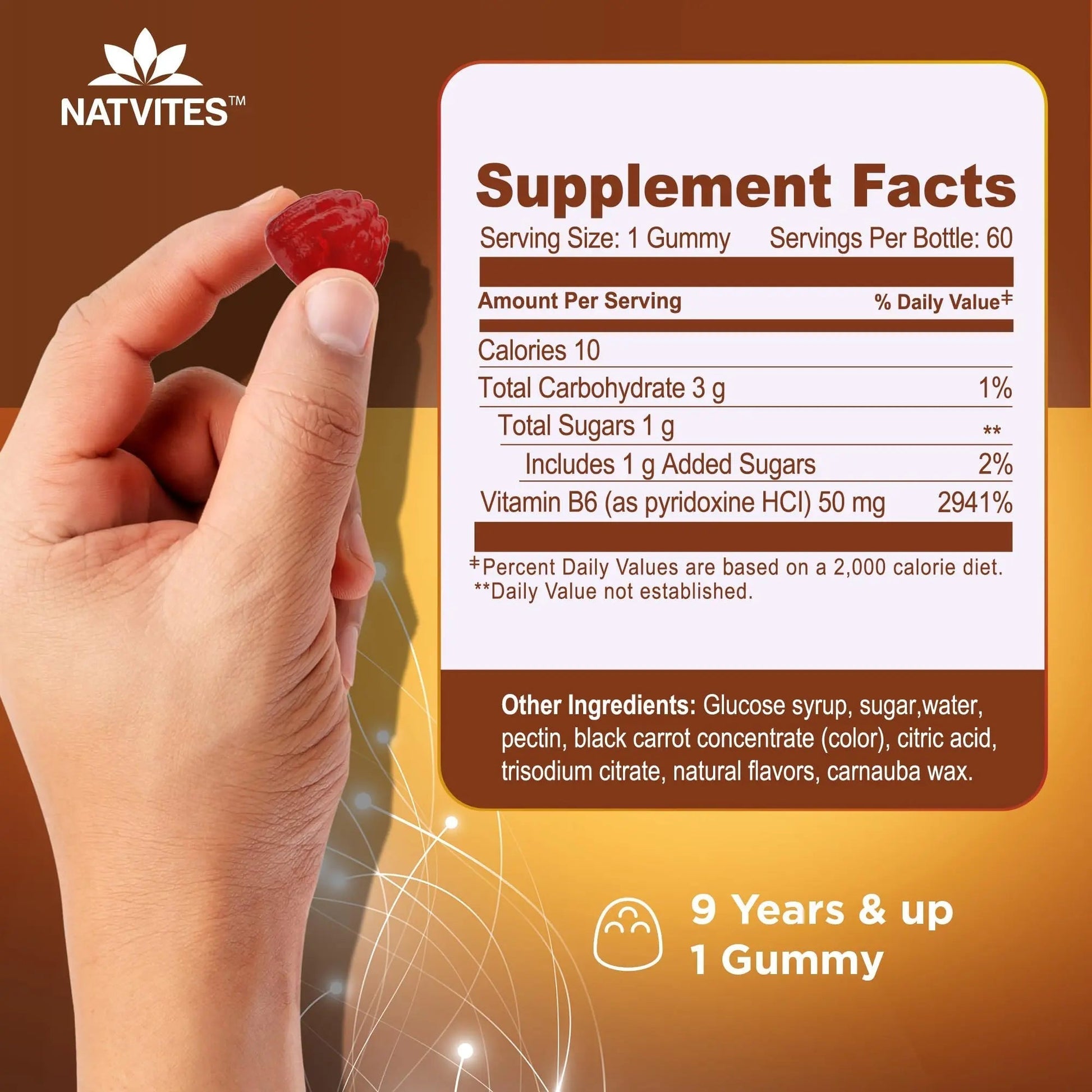 Natvites High-Potency Vitamin B6 Gummies for Kids - Delicious Berry Flavored VIT B6 Vitamins 50mg - Supports Nerve Function - Vegetarian Gluten Free Non-GMO Children's 50 mg B 6 Supplement (60 Count) Natvites buy supplements canada