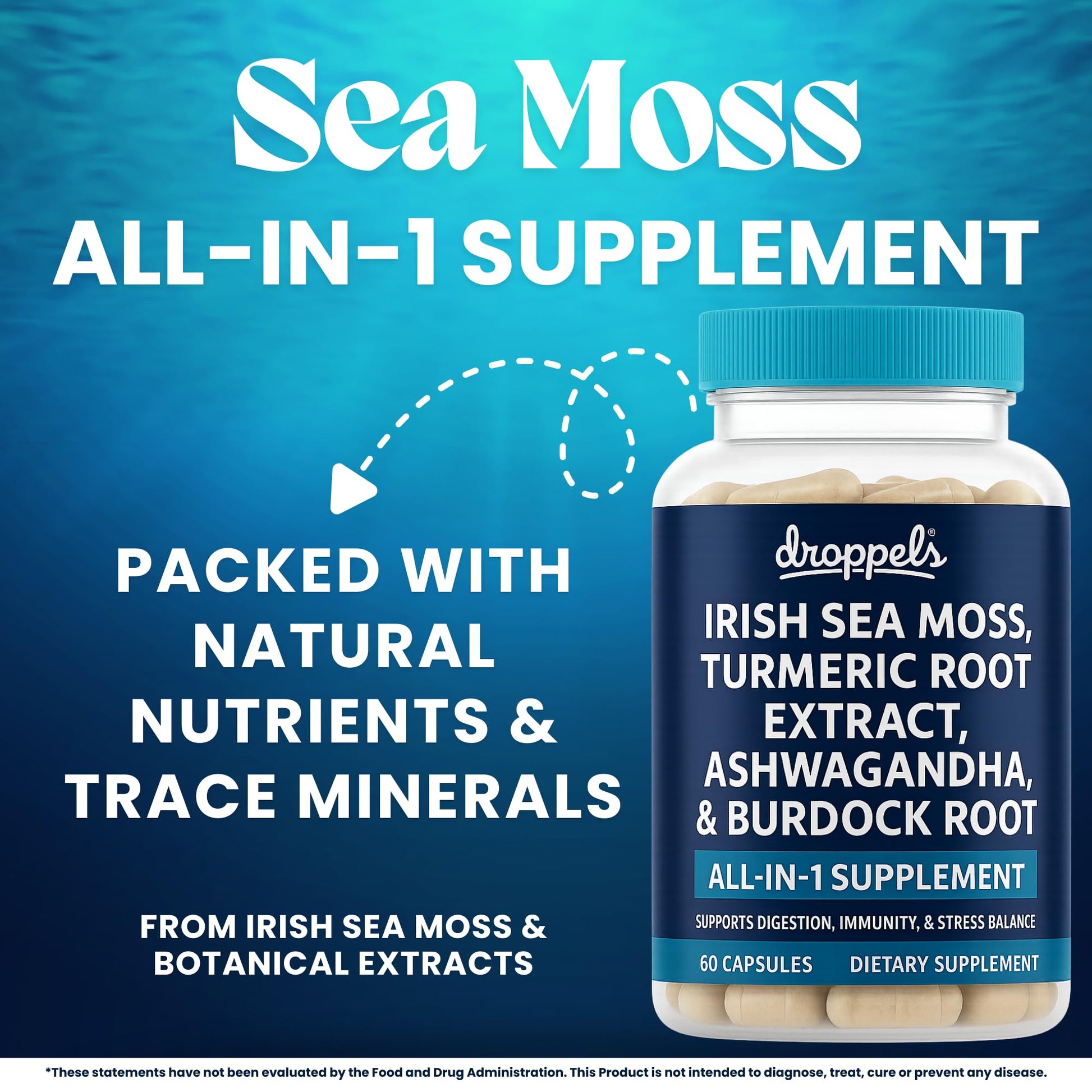 Droppels Irish Sea Moss Capsules with Turmeric Root, Ashwagandha, Black Pepper & Burdock Root – Natural Mineral Blend for Immune, Digestion, Joint & Energy Support – Vegan, Non-GMO – 60 Capsules Droppels buy supplements canada