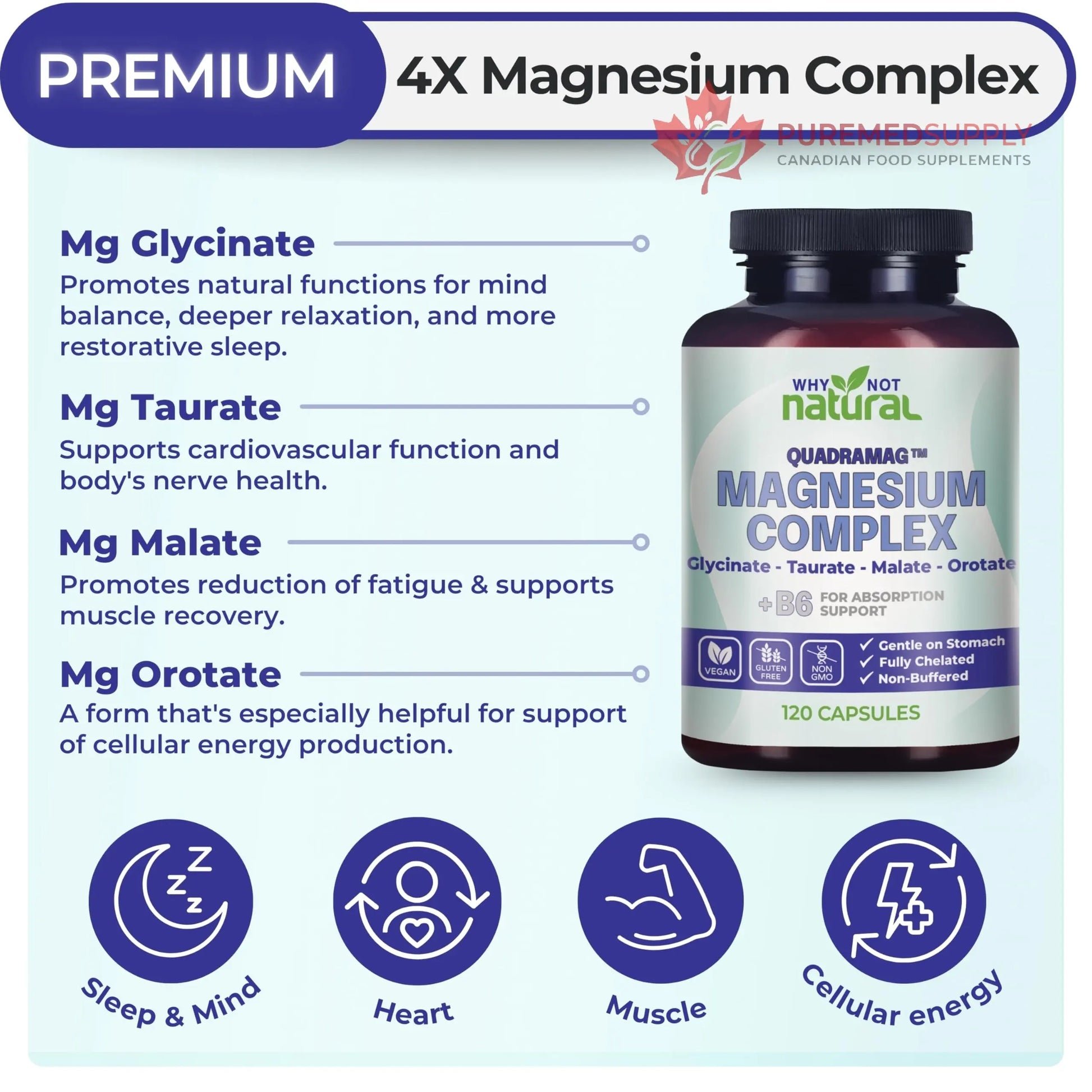 4-in-1 Magnesium Complex Supplement - Glycinate, Taurate, Malate, Orotate Blend - 300 mg per Serving, 120 Capsules Why Not Natural buy supplements canada
