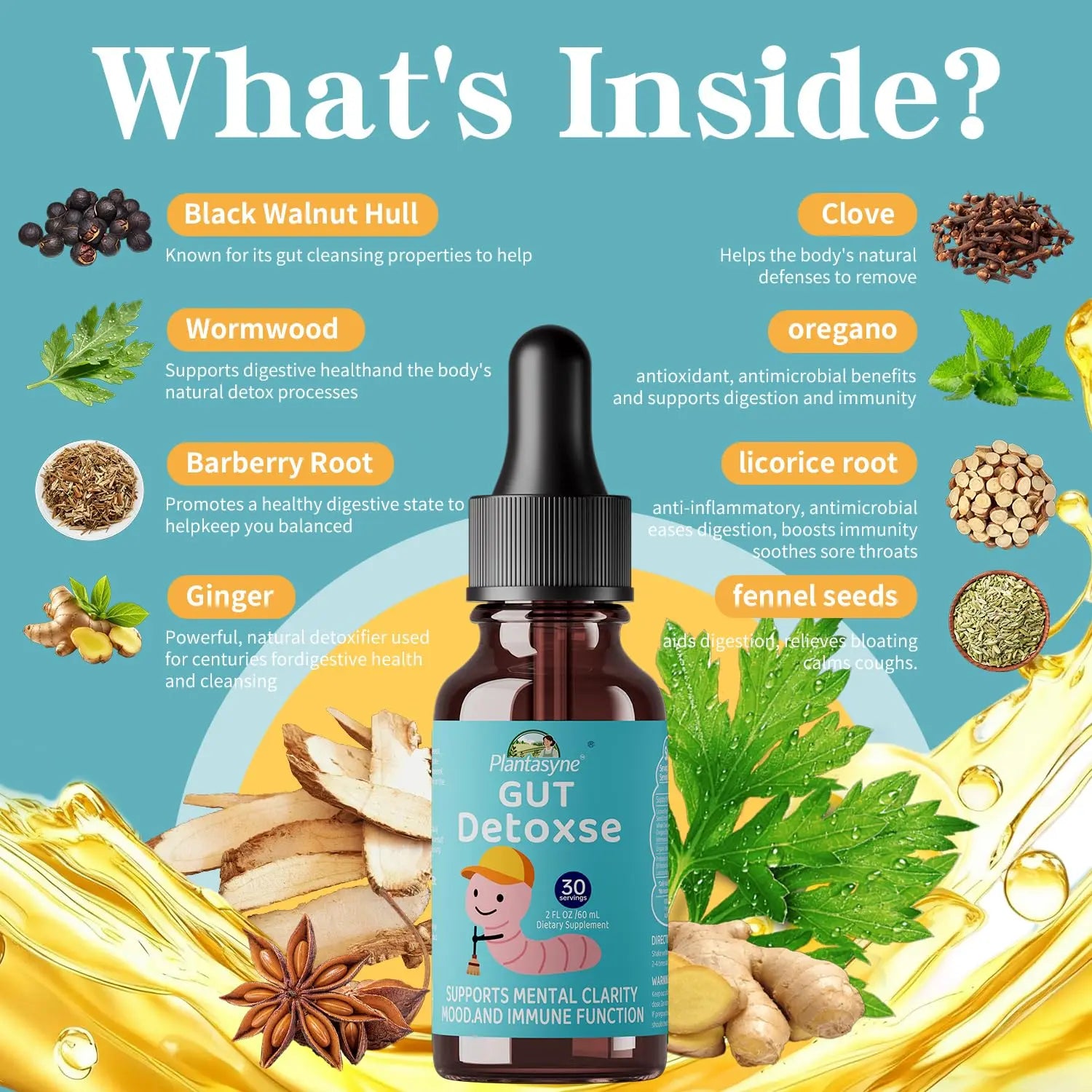 Plantasyne Herbal Gut Cleanse Drops with Black Walnut Hull & Barberry Root | Gentle Liquid Detox for Gut & Colon Support | for Adults & Kids|30 Servings Plantasyne buy supplements canada