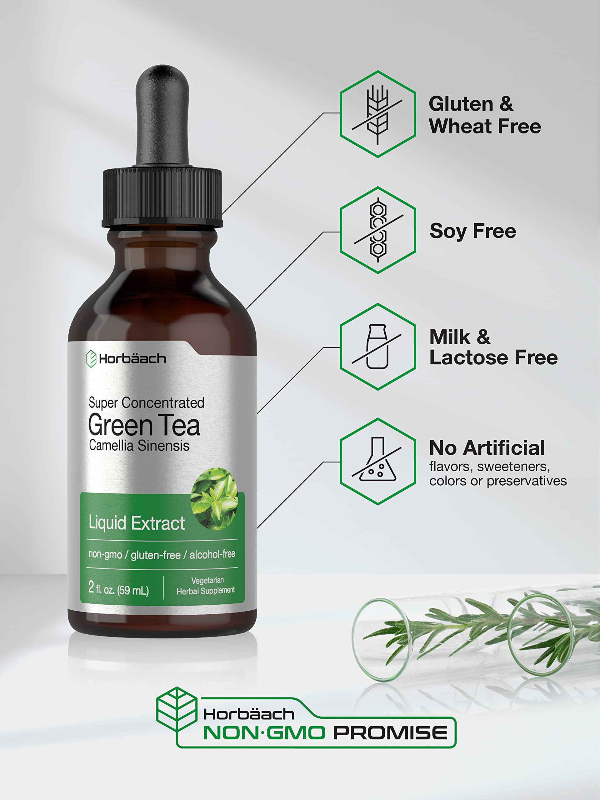 Green Tea Extract Liquid | 2 Fl Oz | Alcohol Free, Vegetarian Tincture | Super Concentrated Horbäach buy supplements canada