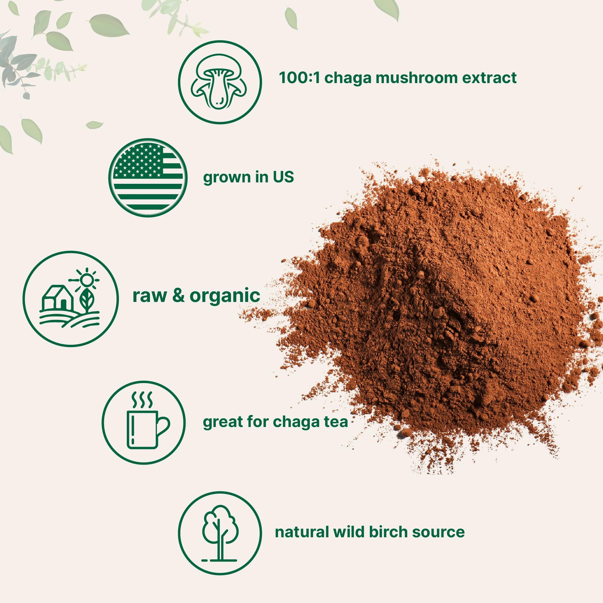 Micro Ingredients Organic Chaga Mushroom Extract 100:1 Powder, 10 Ounce Micro Ingredients buy supplements canada