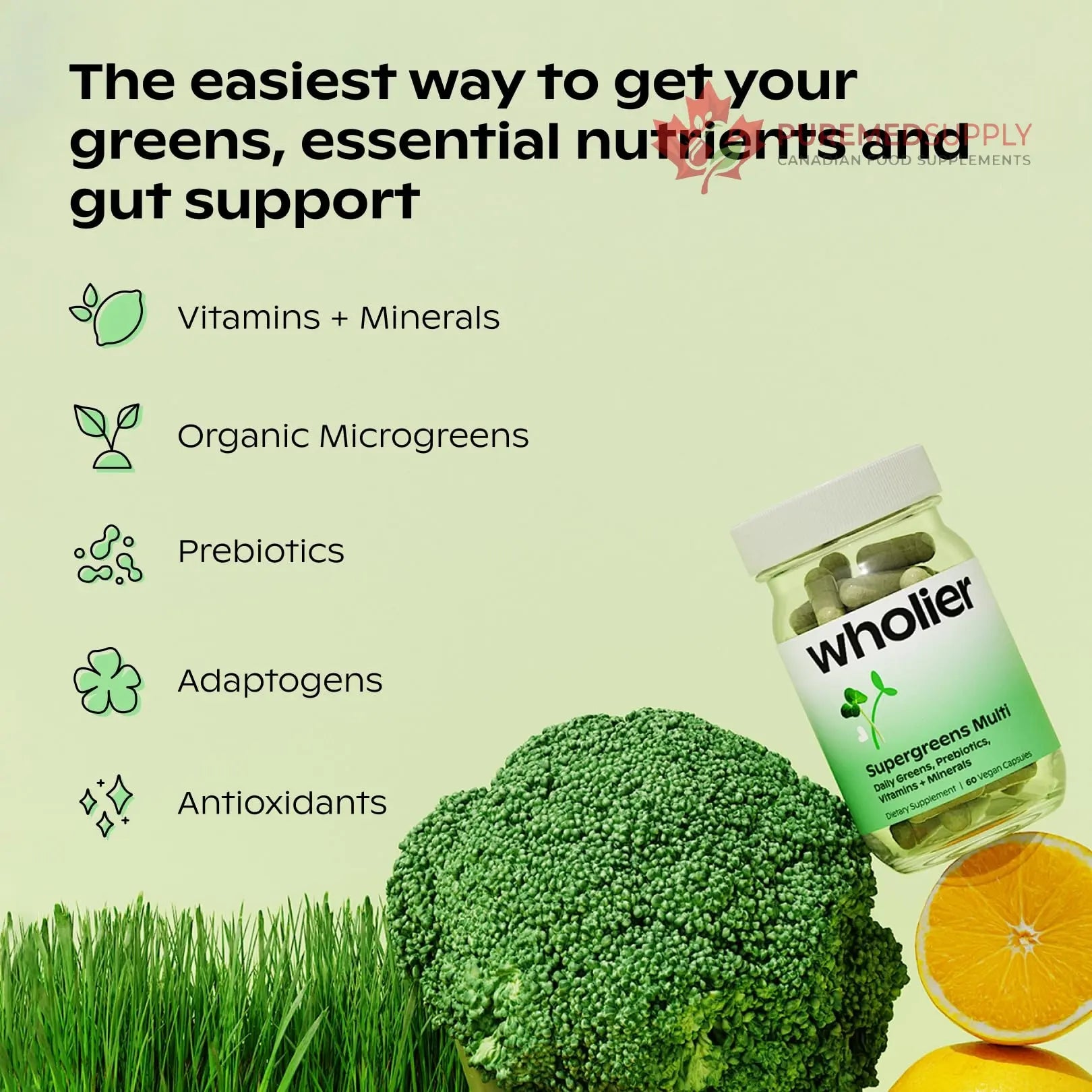 wholier Supergreens Multi, Daily Greens, Vegan Multivitamin for Women + Men, Whole Food Vitamins + Minerals, Prebiotics for Gut Health, Adaptogens (60 Vegan Capsules) Glass Bottle wholier buy supplements canada