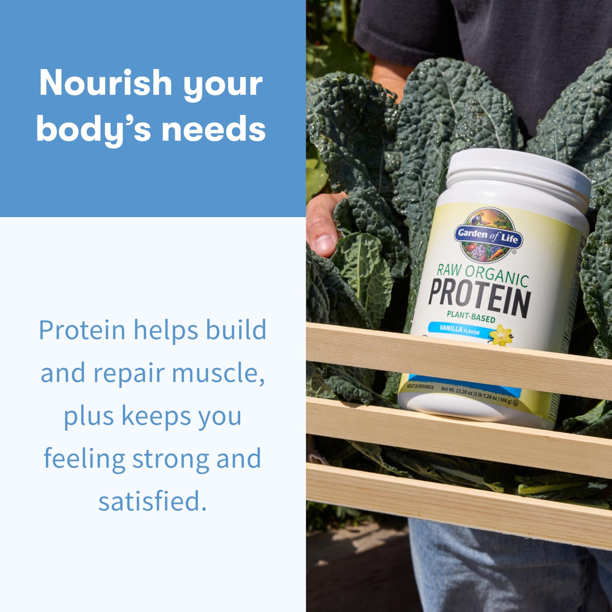 Garden Of Life Protein Powder, Vegan Protein Powder, Bcaa, Probiotics & Digestive Enzymes, Gluten & Lactose Free, Vanilla, 23.28 Ounce Garden of Life buy supplements canada