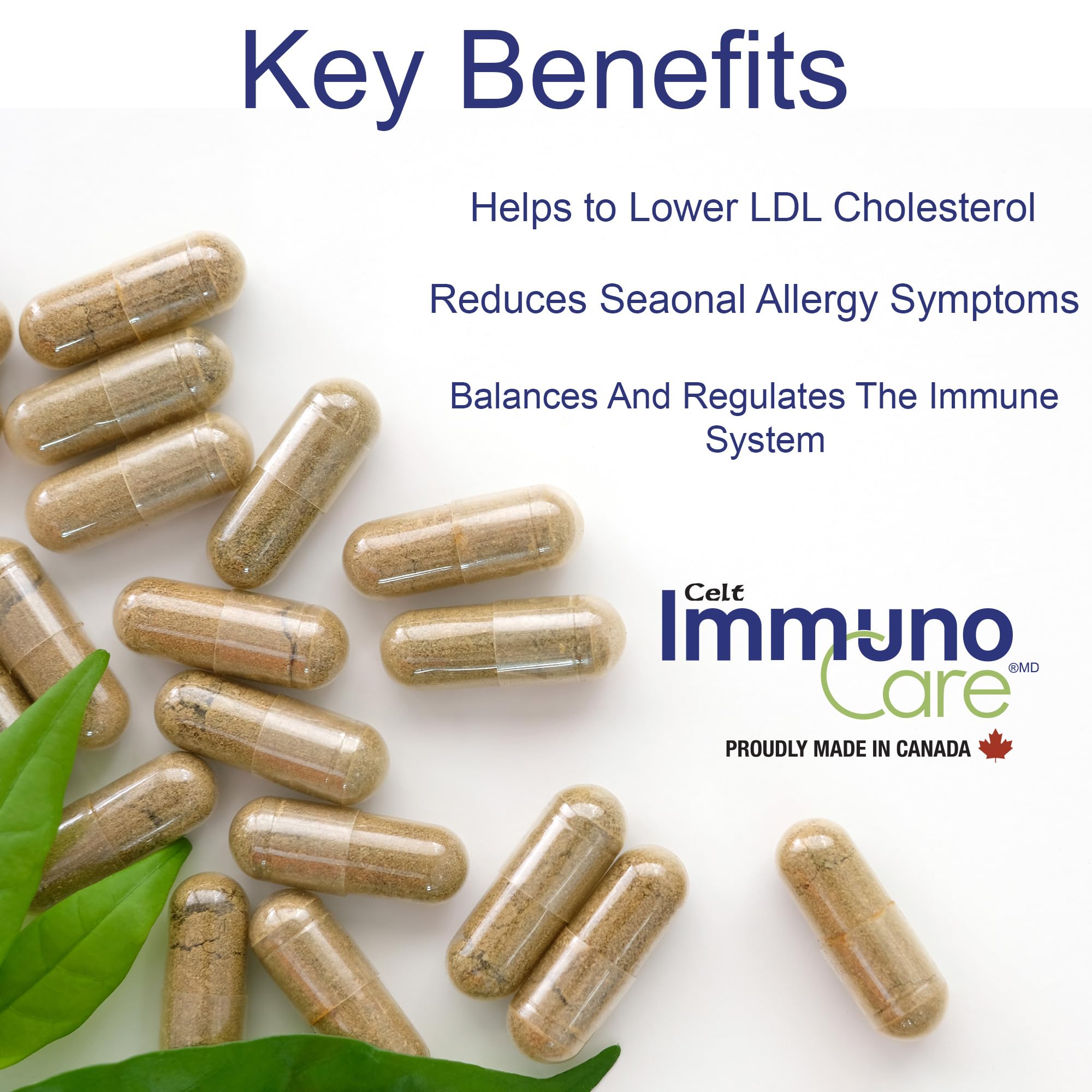 Celt Immunocare 60 v-caps - Potent Seasonal Allergy Blend - Adult Immunity Support - Cholesterol Modulator - Plant Sterols Ultra Strength - 7 Key Immunity Enhancing Ingredients Celt Immuno-Care buy supplements canada