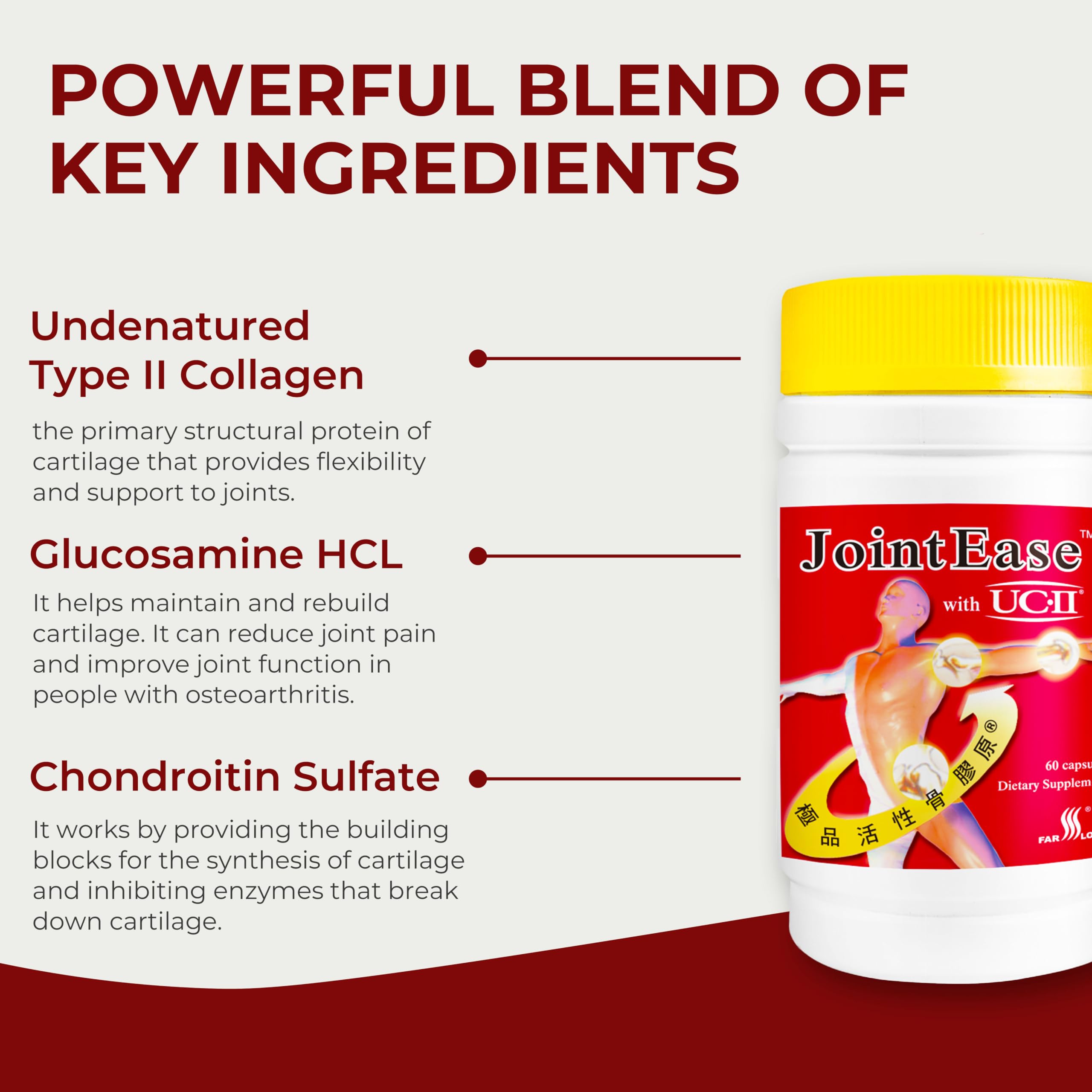 FARLONG JointEase with UC-II, Undenatured Type II Collagen, Glucosamine Hydrochloride, Chondroitin Sulfate, Joint Dietary Supplement | 60 Capsules FAR LONG buy supplements canada