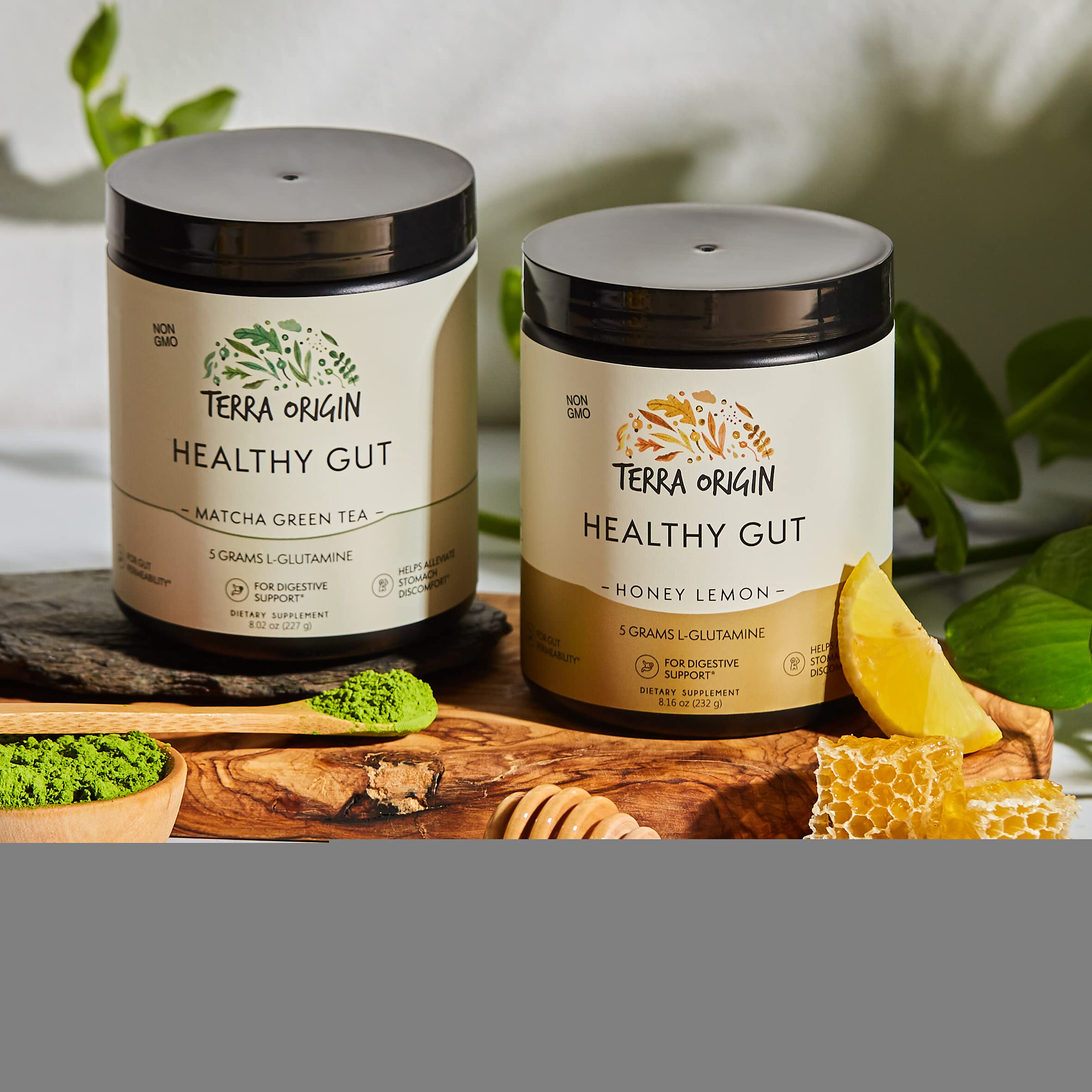 TERRA ORIGIN Healthy Gut Powder (Honey Lemon) | 30-Servings with L-Glutamine TERRA ORIGIN buy supplements canada