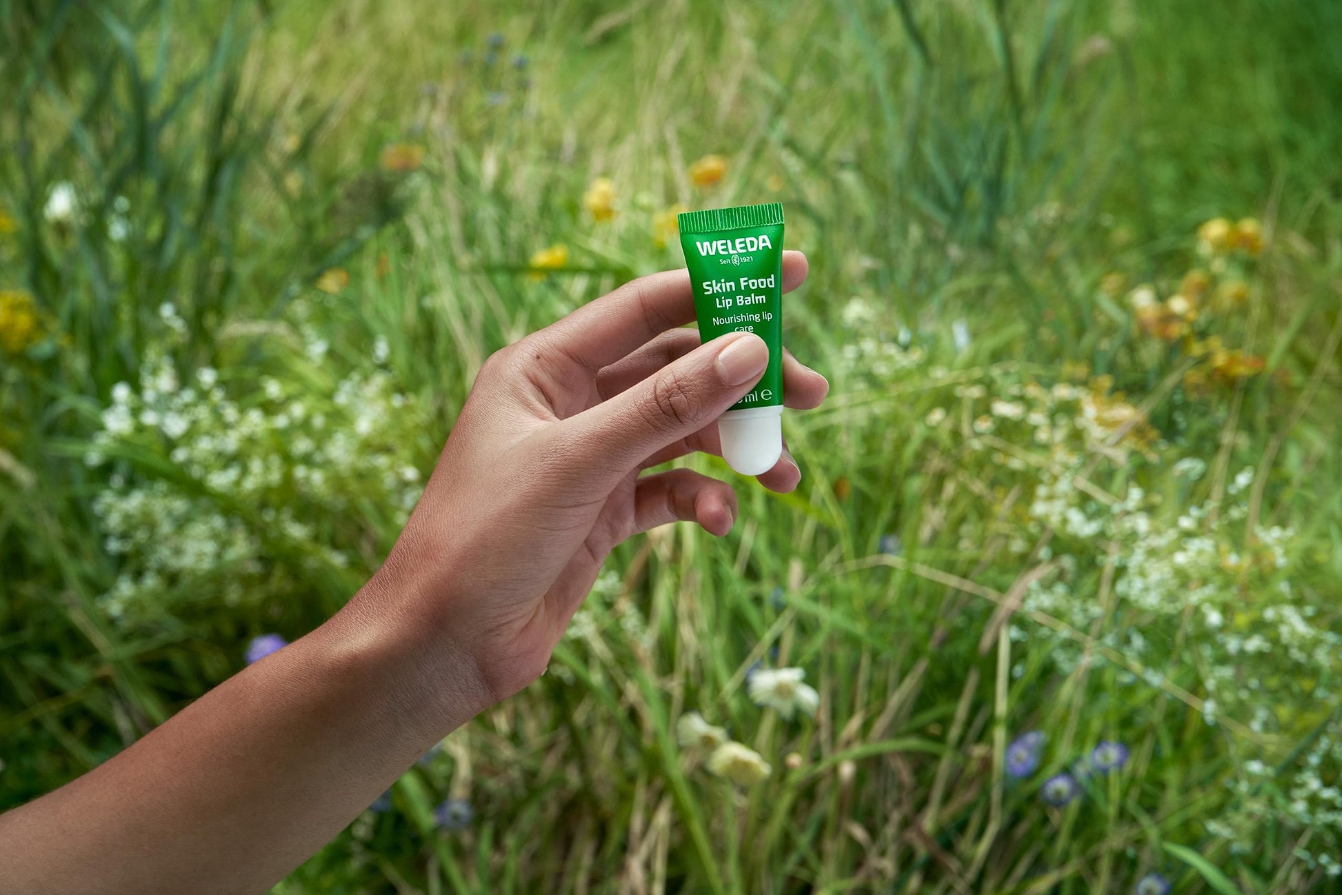 Weleda Skin Food Lip Butter, 0.27 Ounce, Plant Rich Moisturizing Lip Care with Sunflower Seed Oil Weleda buy supplements canada